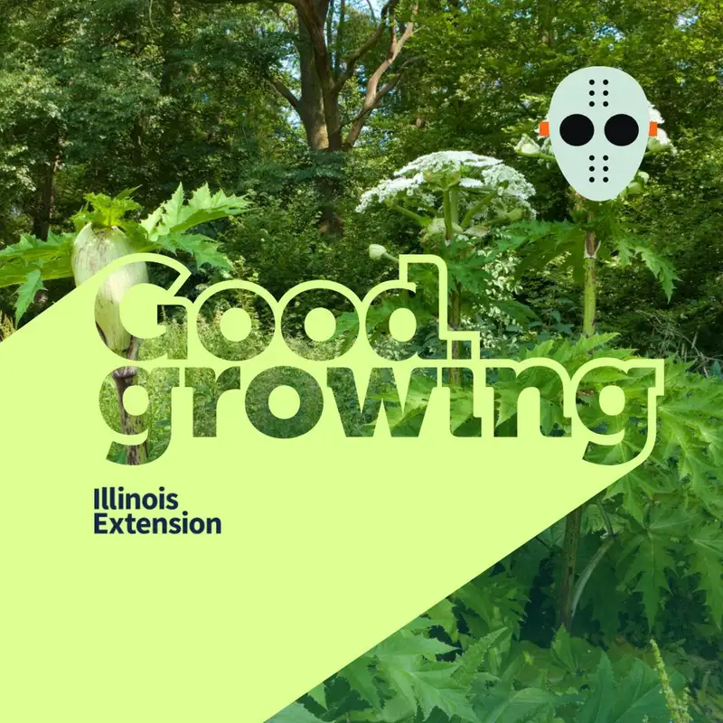 Ep. 121 Spooktacular: Dangerous and Deadly Plants | #GoodGrowing