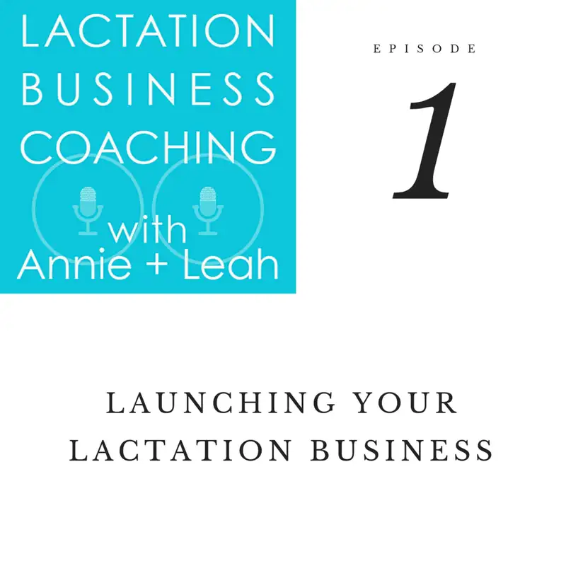 1 | Launching Your Lactation Business