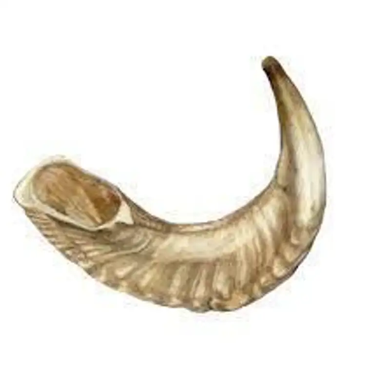 Shofar