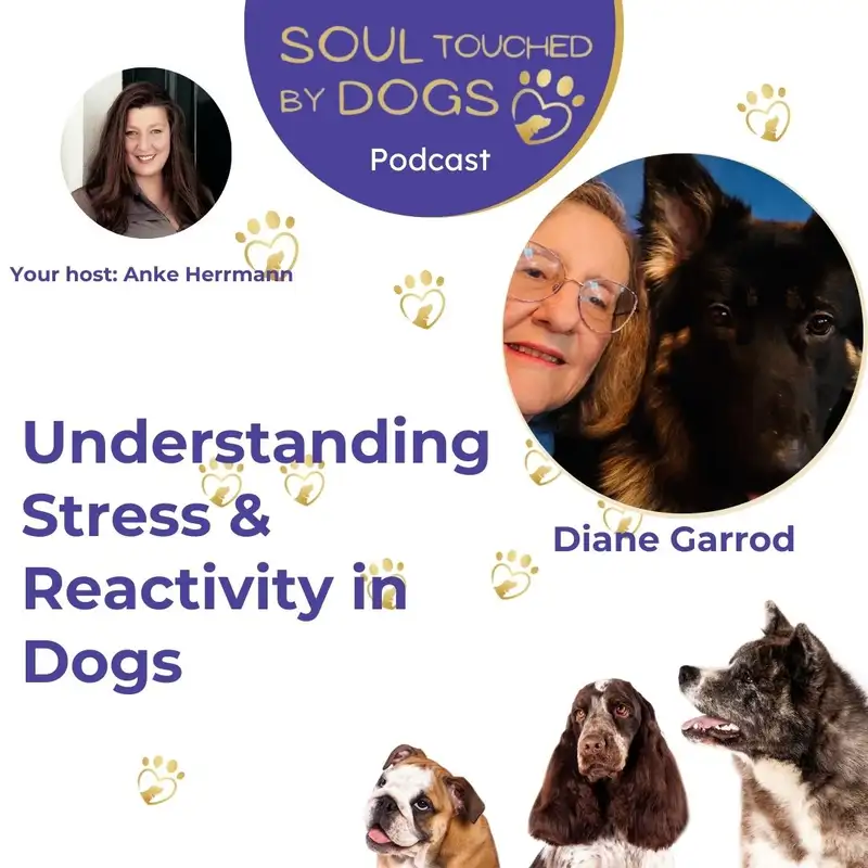 Diane Garrod - Understanding Stress & Reactivity in Dogs