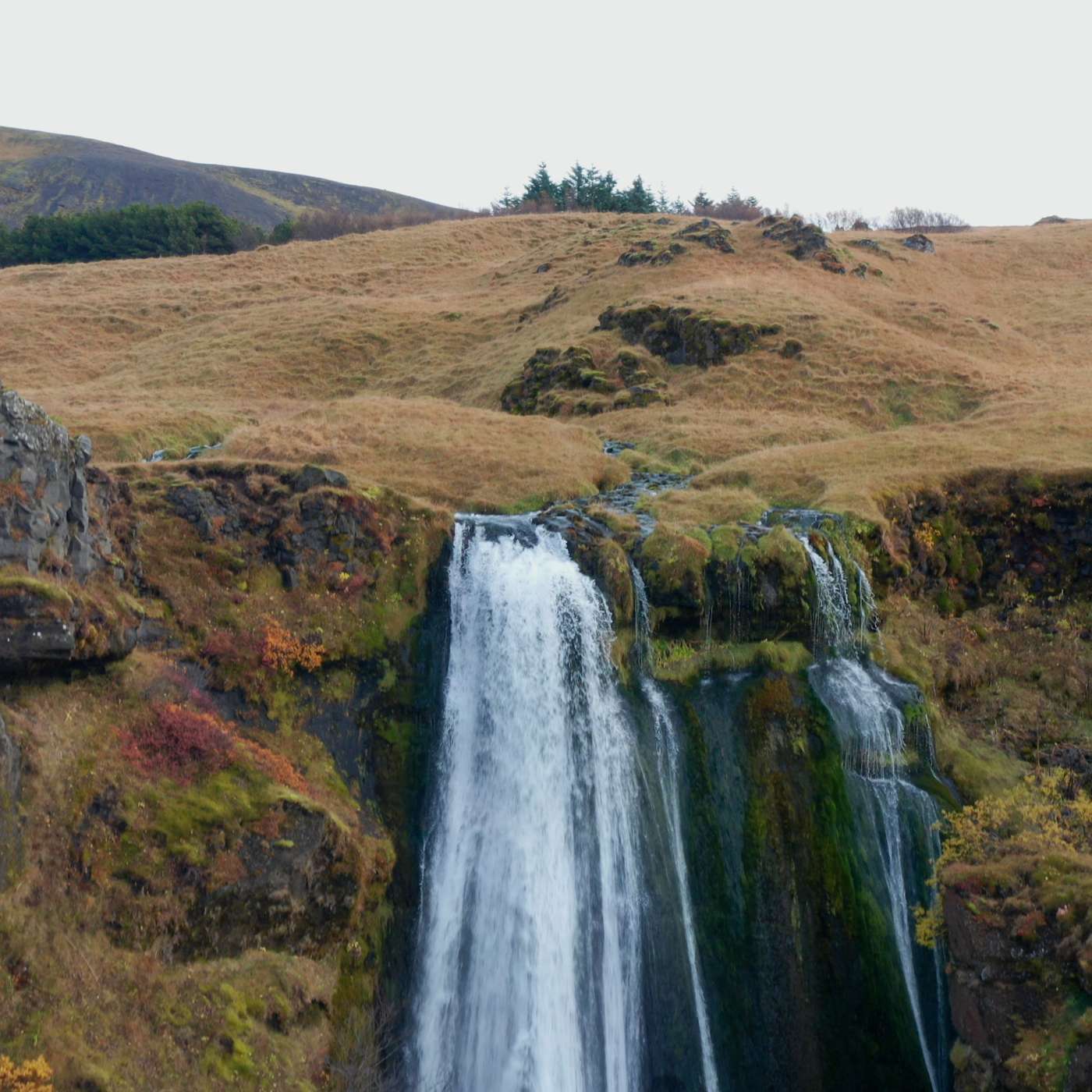 De verzoening ontvangen van Hem (Romeinen 5:11)
