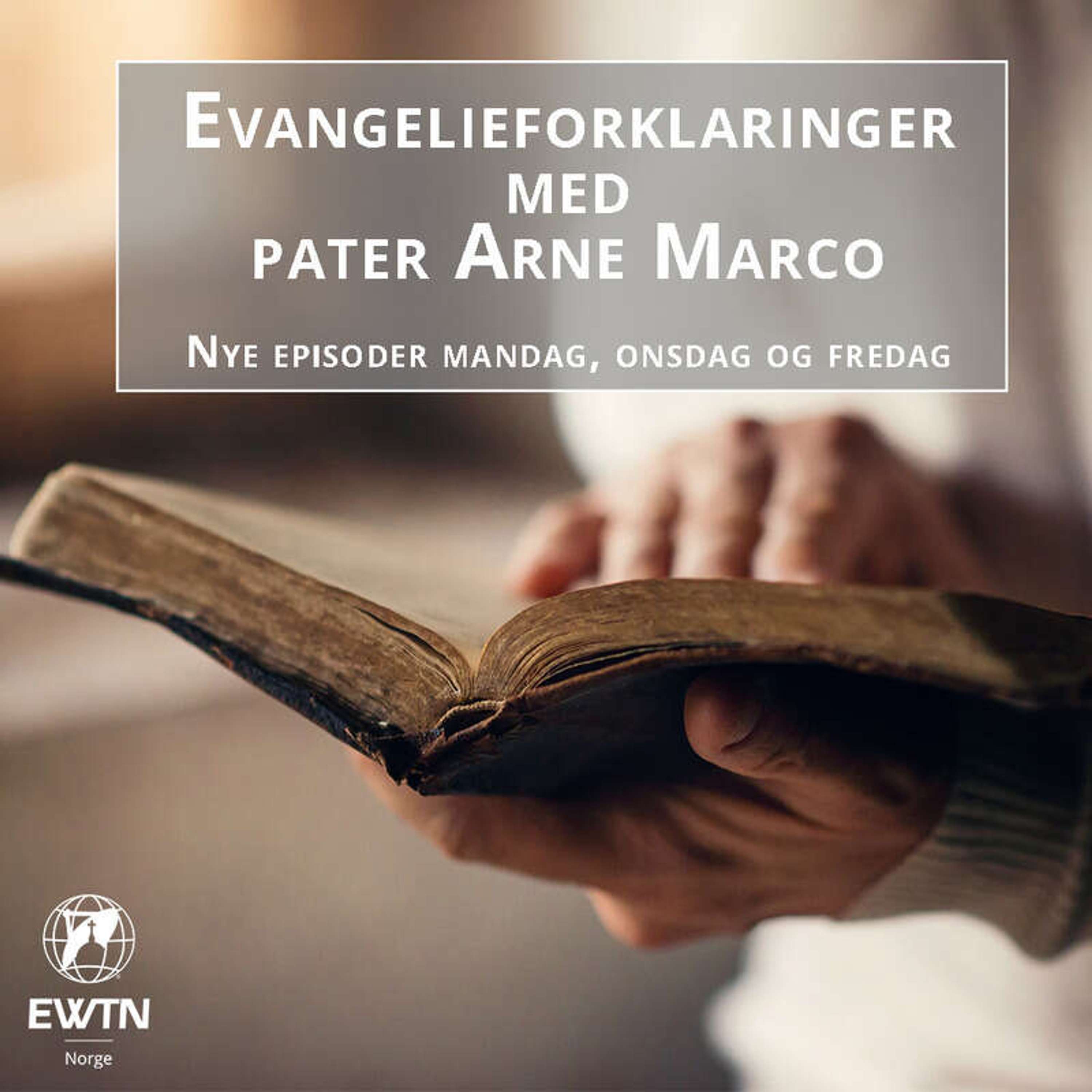 Evangelieforklaringer med pater Arne Marco