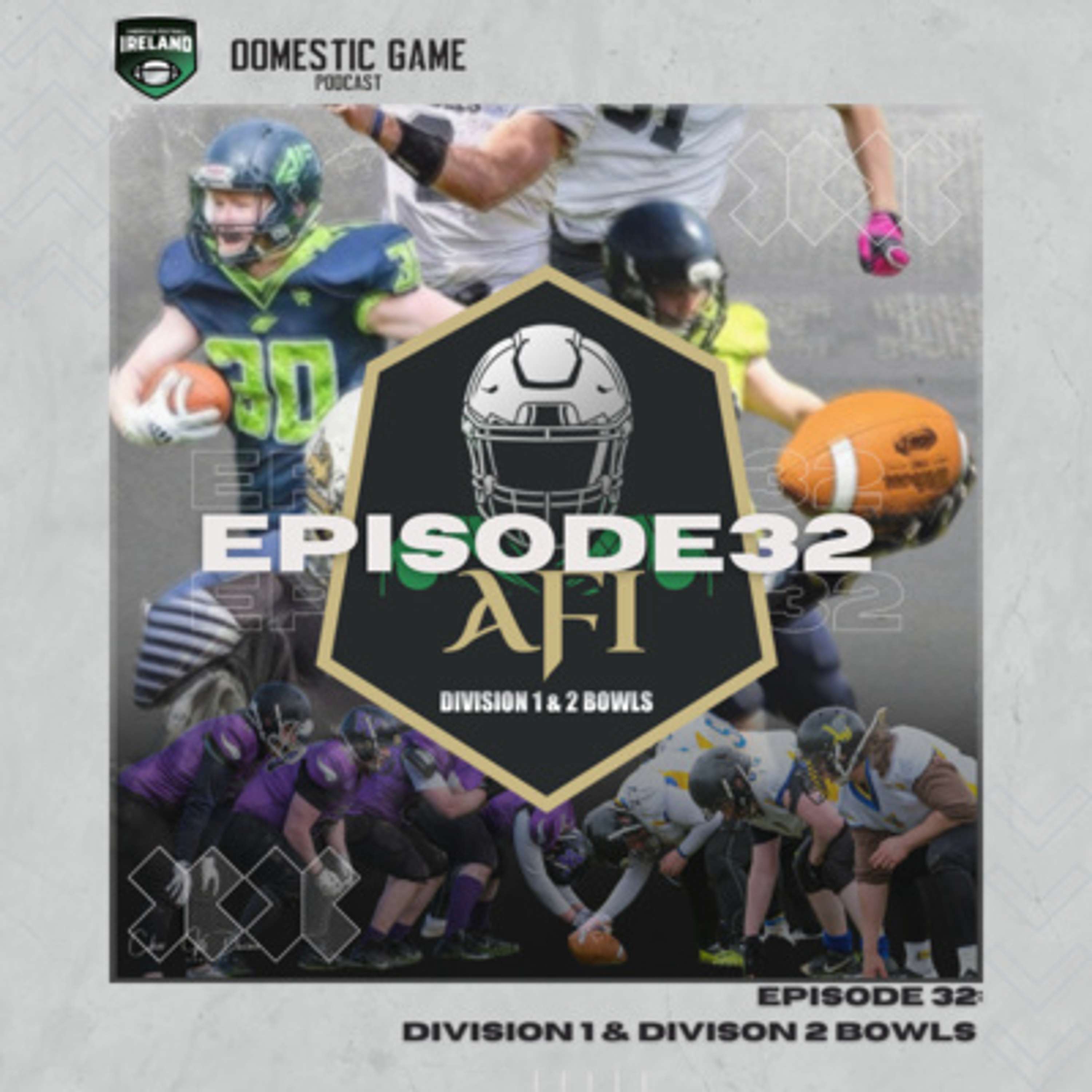 The Domestic Game