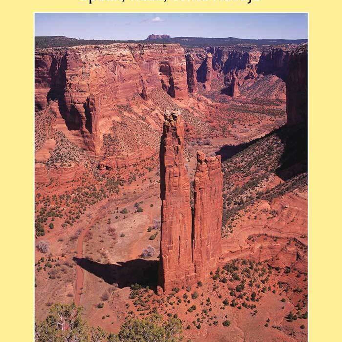 Diné Bizaad: Speak Read Write