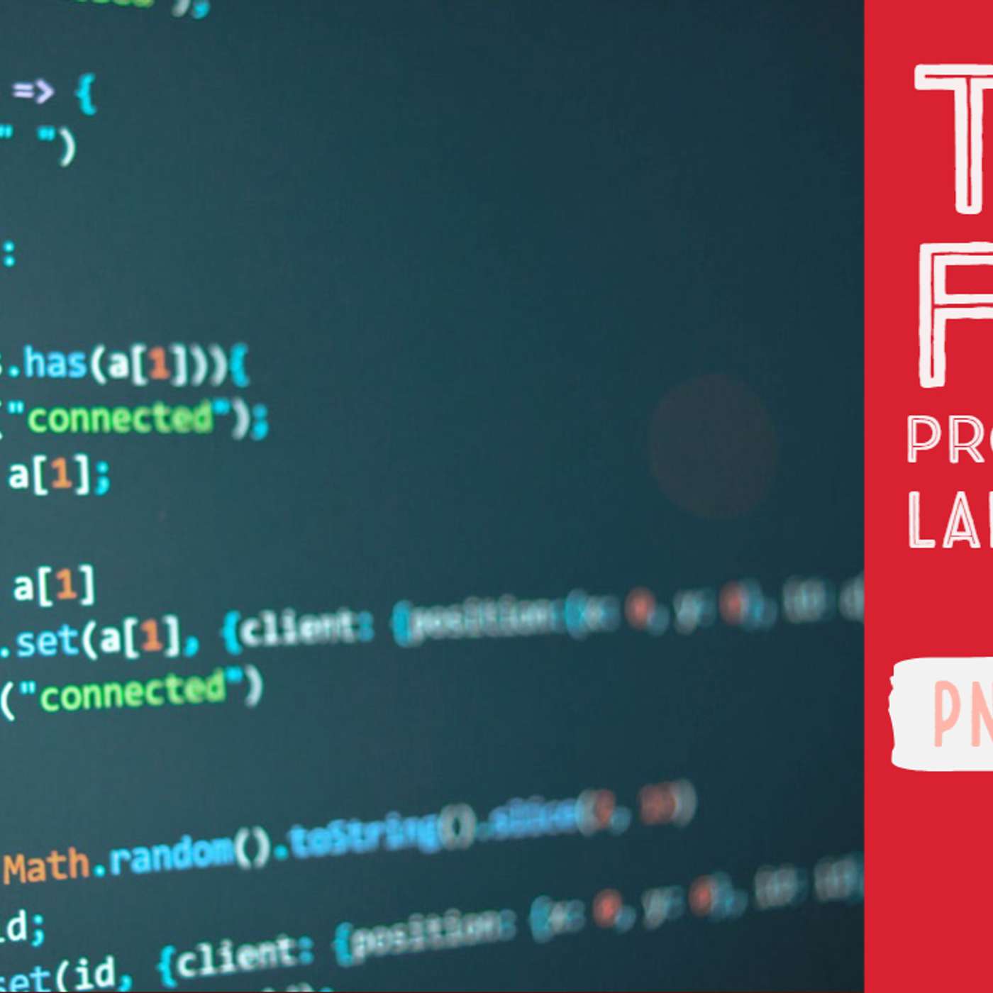 Top Five - Programming Languages