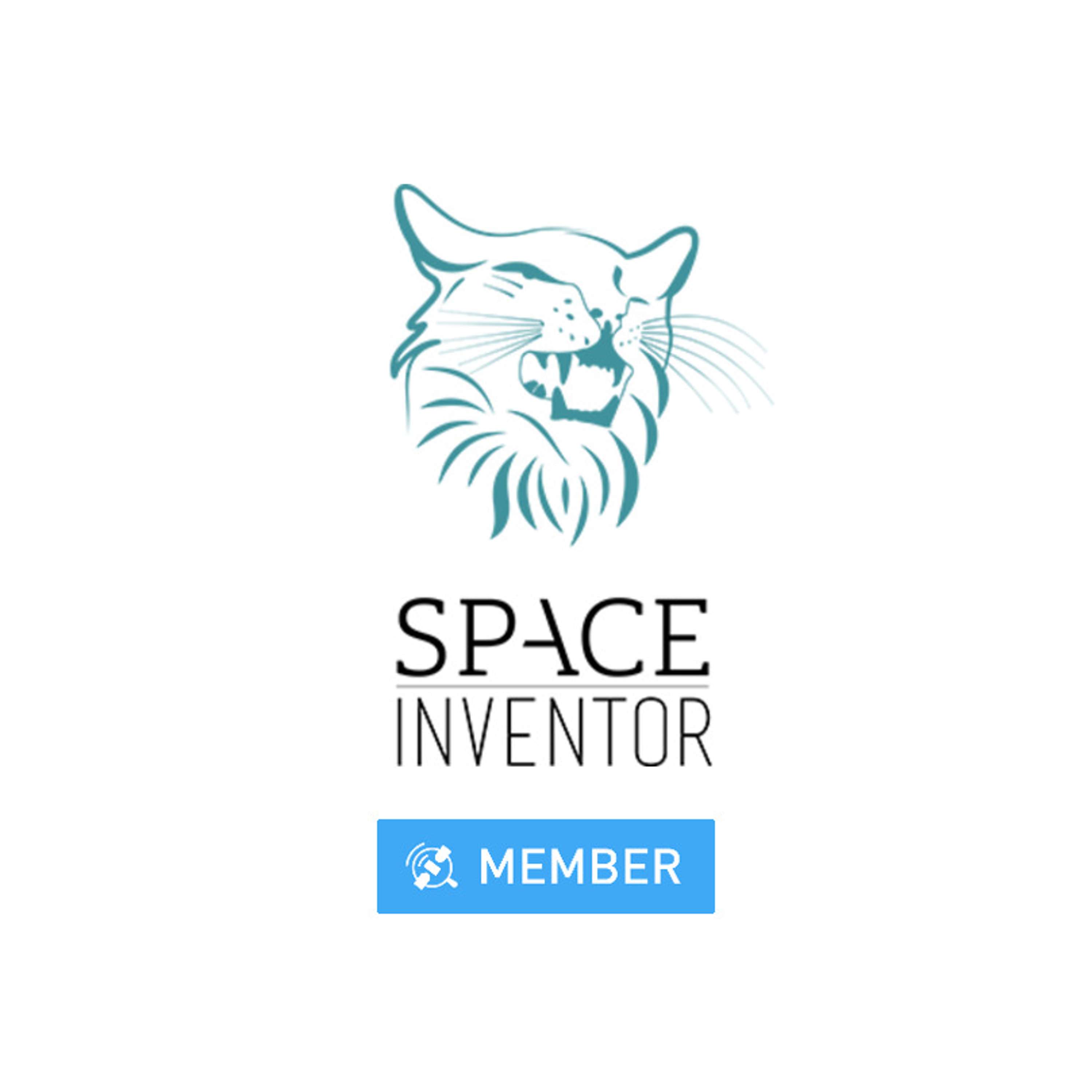 The Space Industry