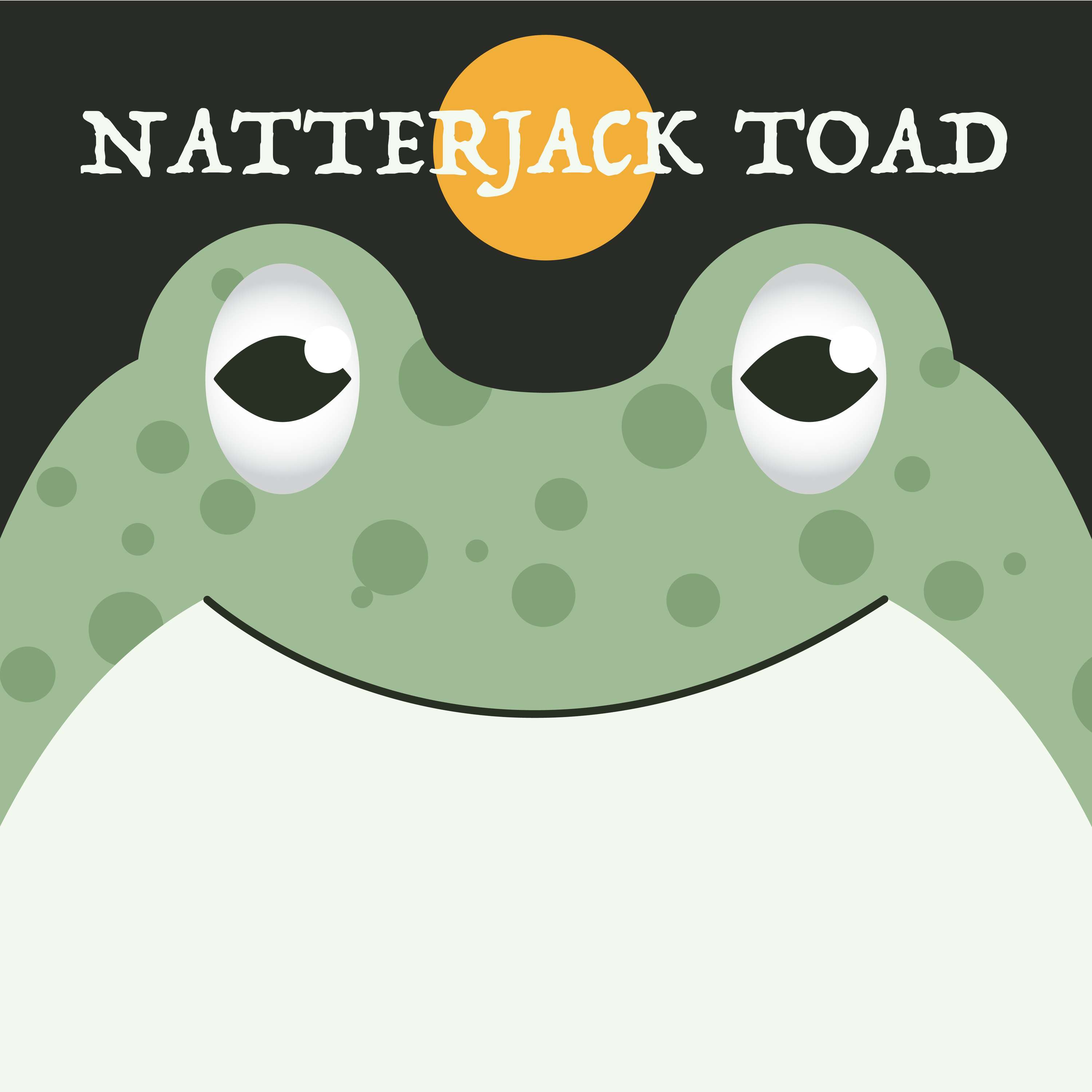 Natterjack Toad | Week of OcTOADber 24th