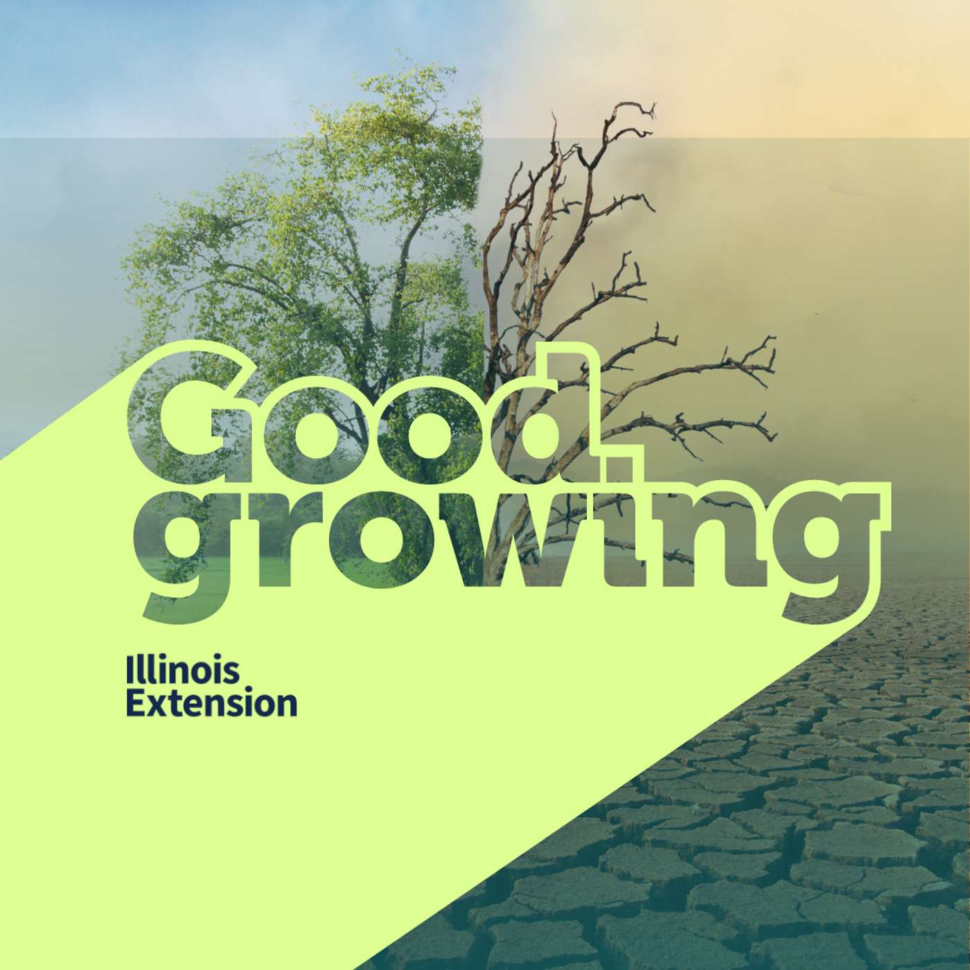 Good Growing