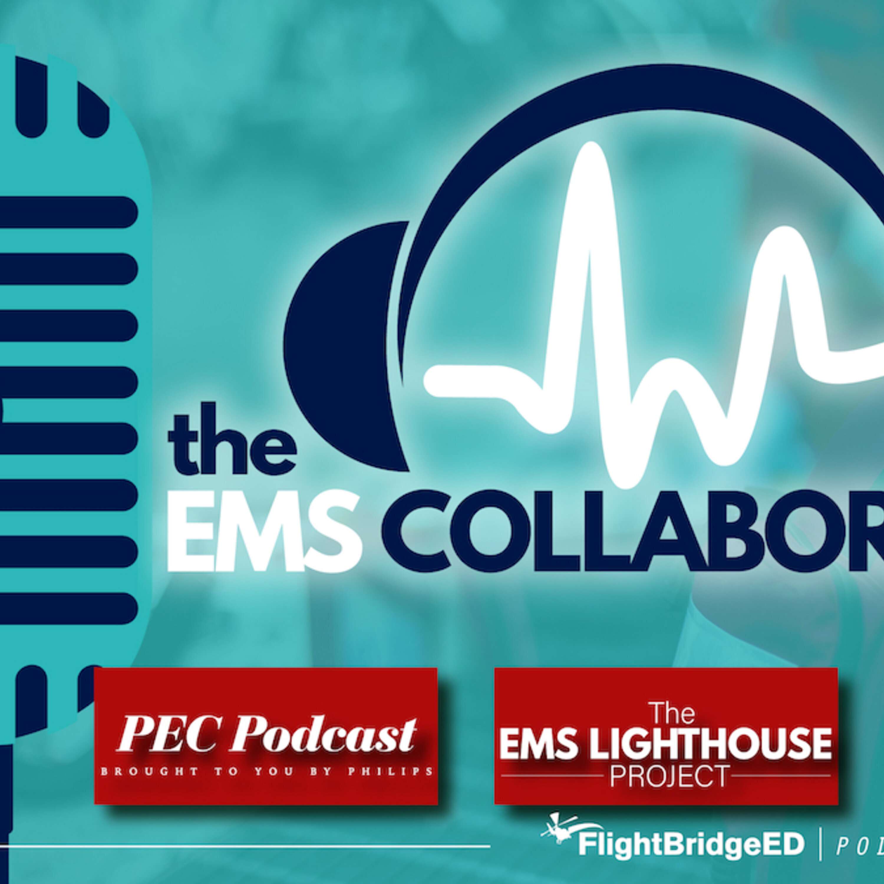 The EMS Lighthouse Project