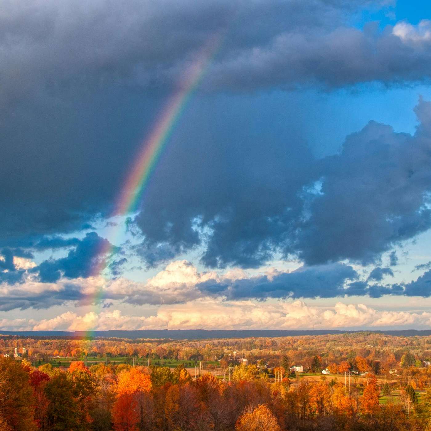 31 De Vraagbaak: Hoe hangen God en schoonheid samen?