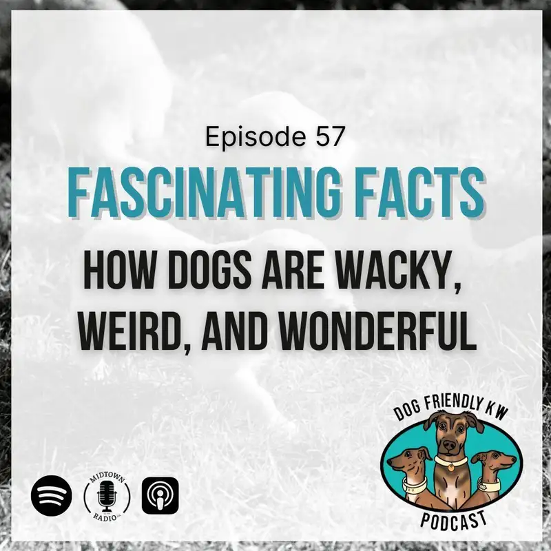Lightning Round: Getting WET AND WILD!