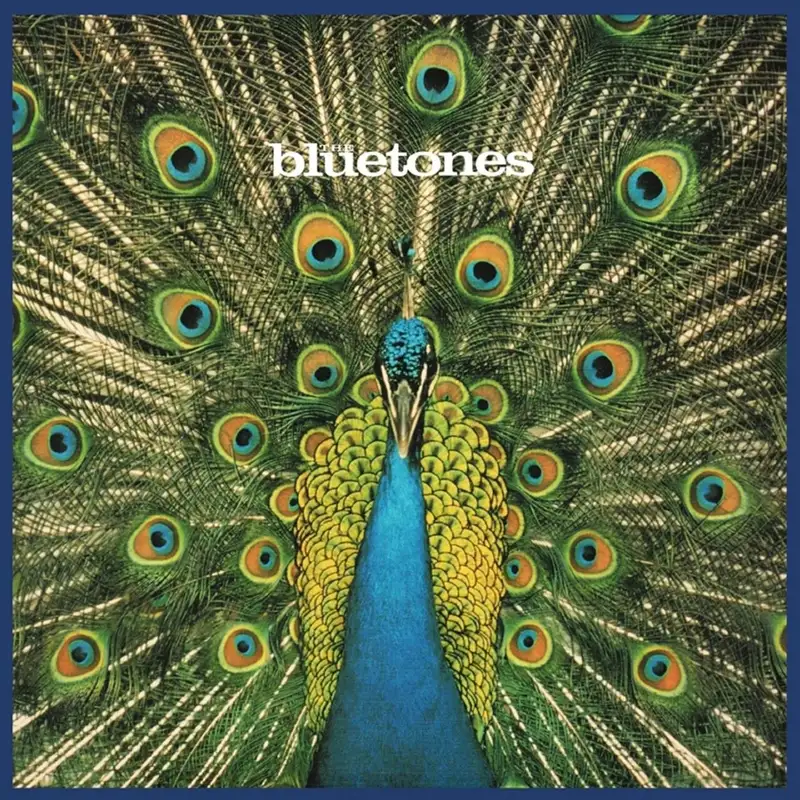 Expecting to Fly: The Bluetones with Hannah from Society Owes Me A Gen X Podcast