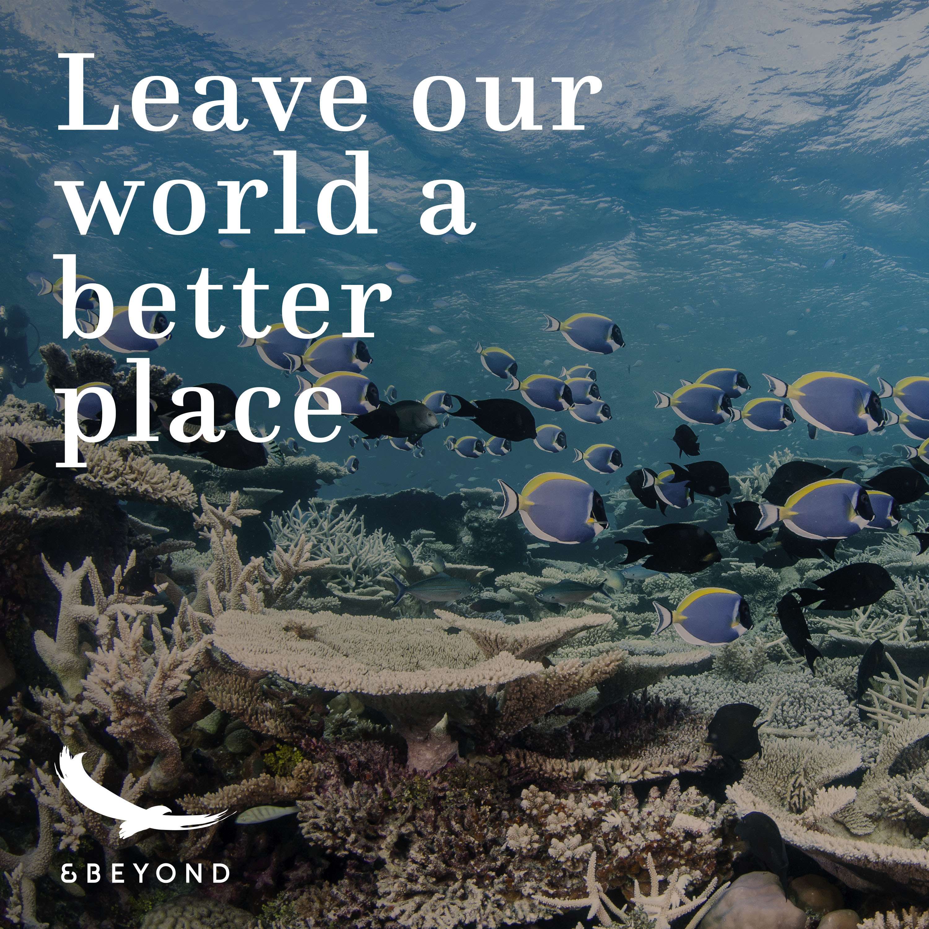 Better World