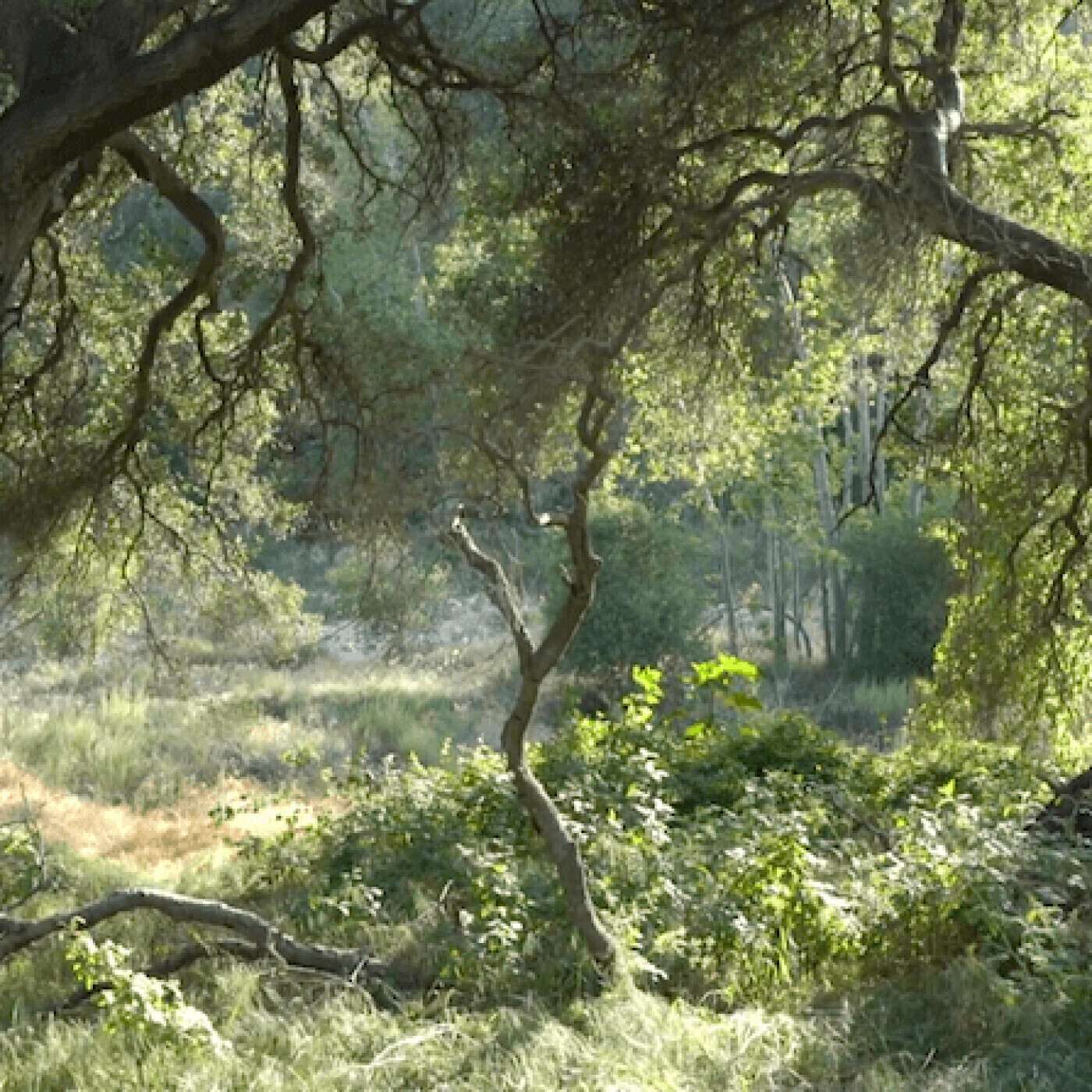 L\'Heure Exquise - Radio Grenouille & Séances Spéciales