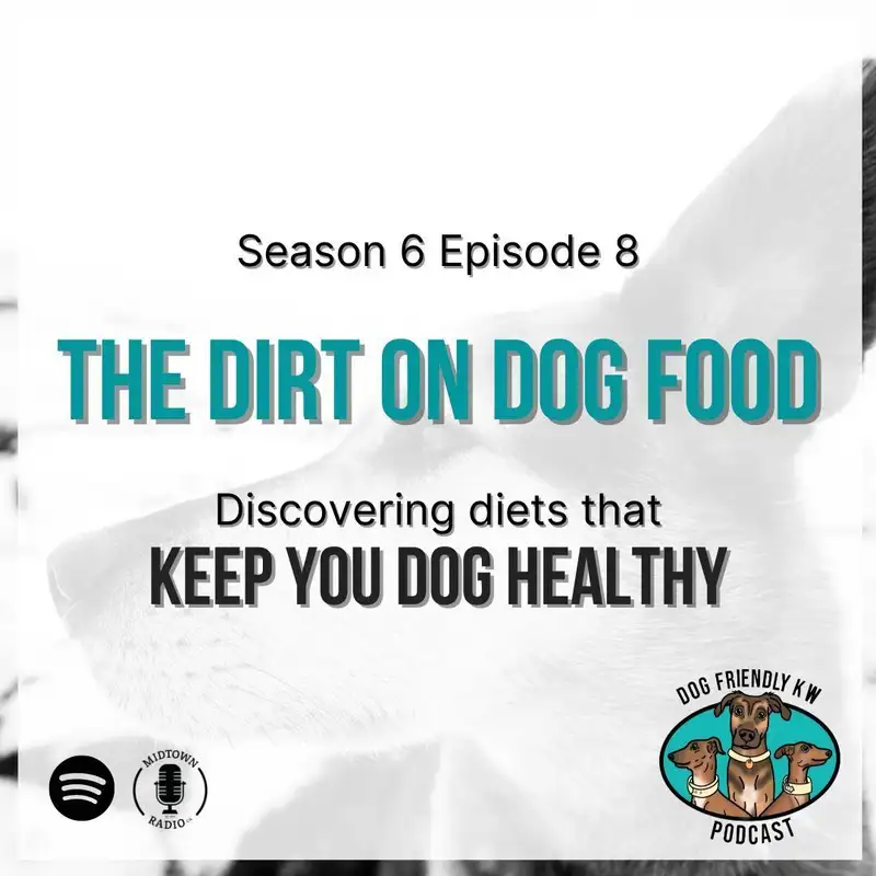 The Dirt on Dog Food: How kibble and canned food STACK UP