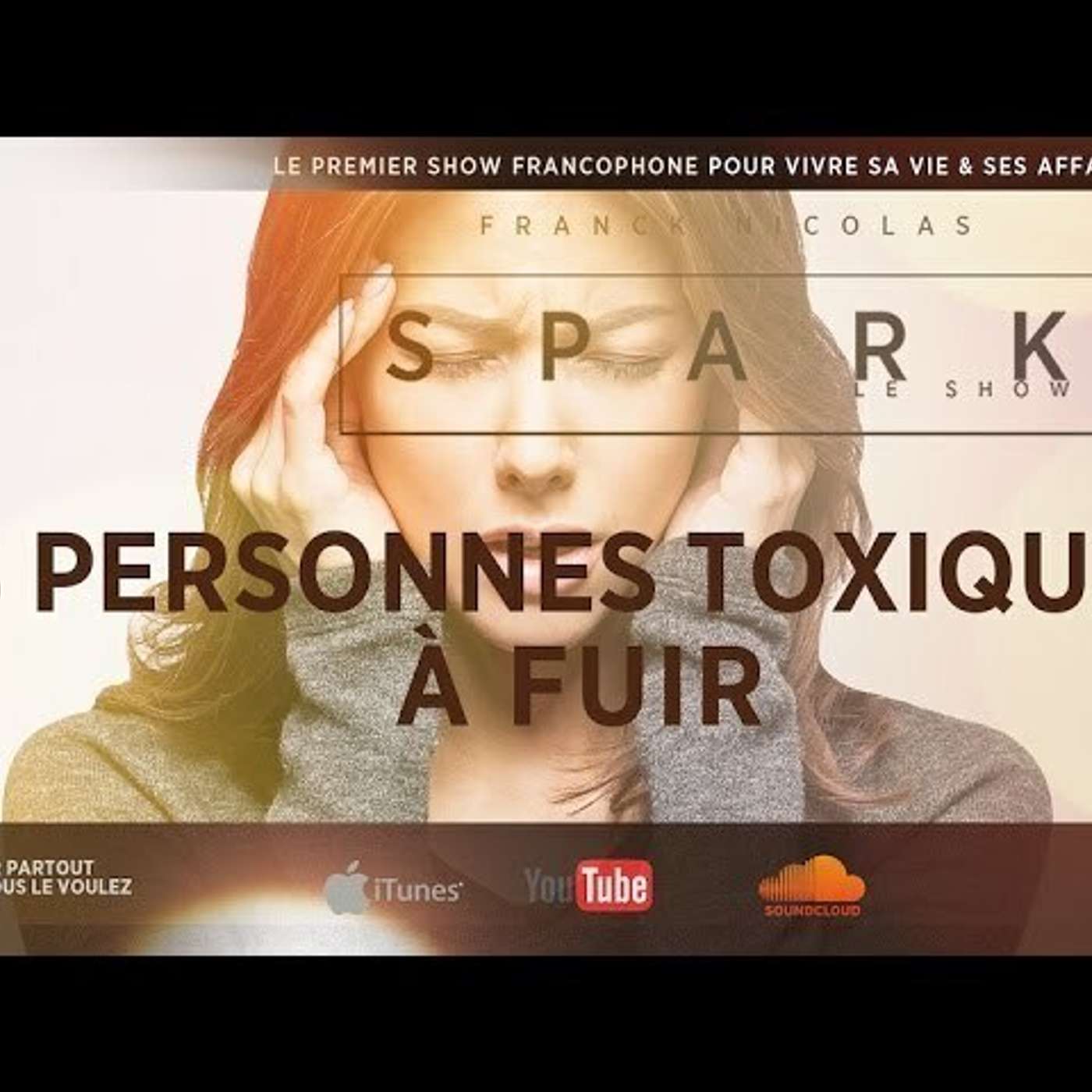 Le Podcast de Franck Nicolas