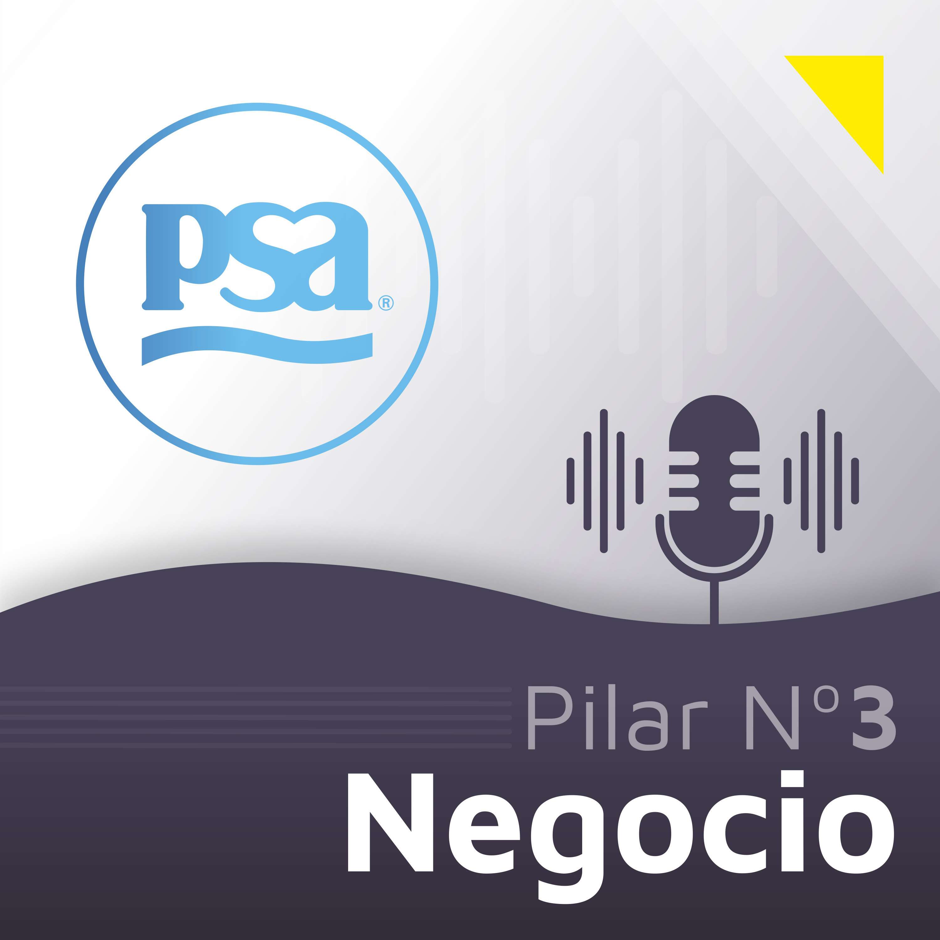 PSA Podcast