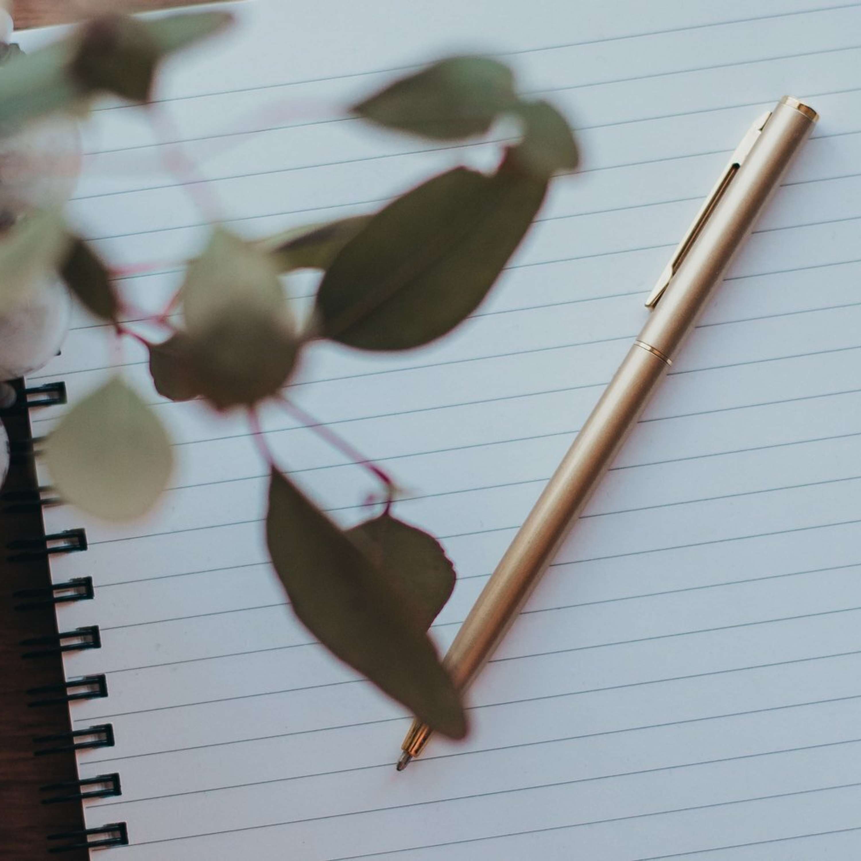 Take Note Podcast