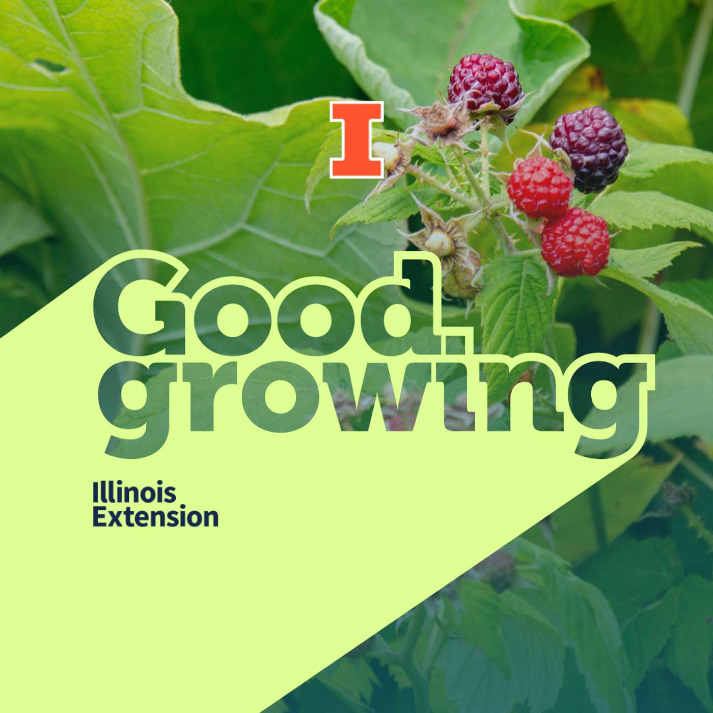 Good Growing