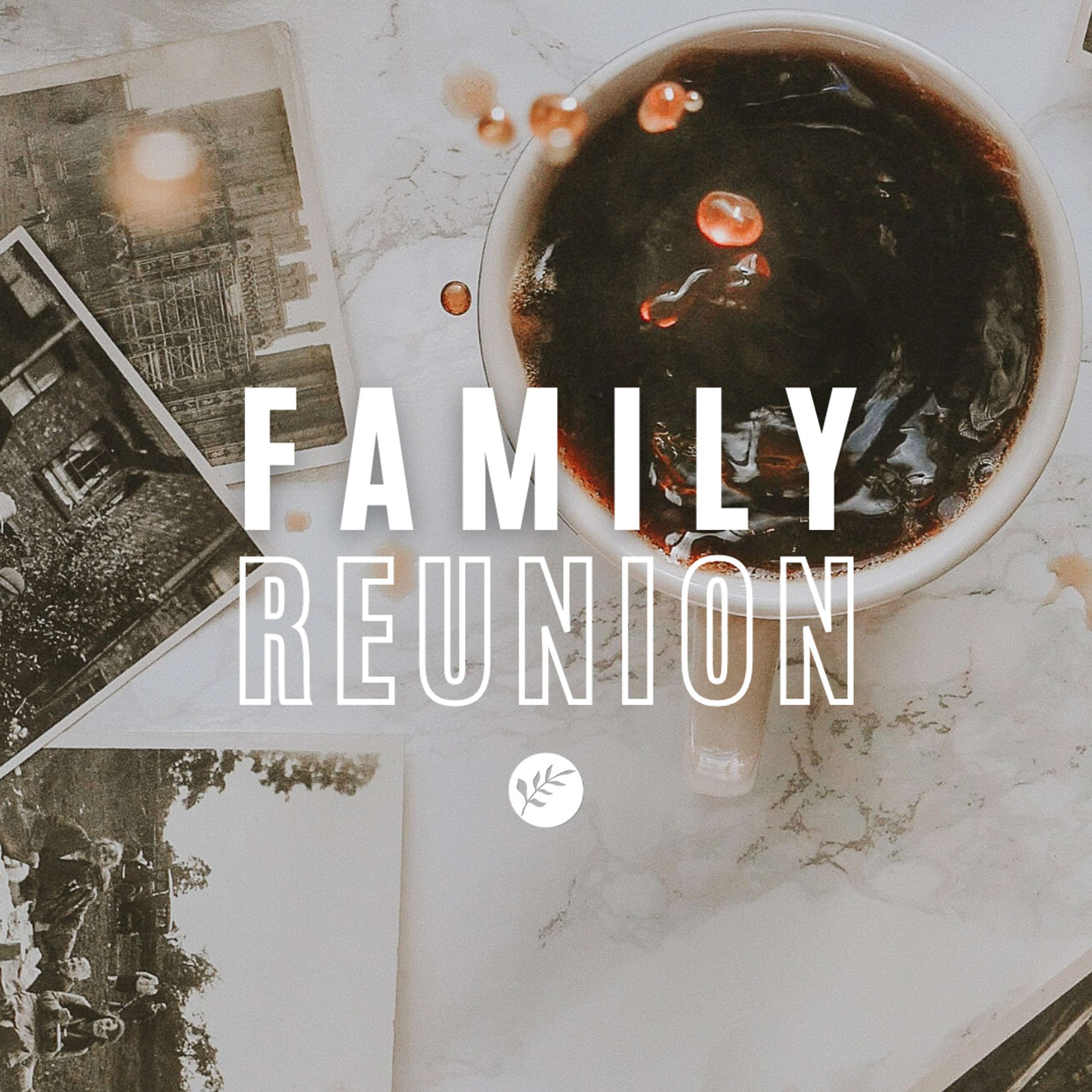 Family Reunion Week 2 | Ephesians 4:7-16