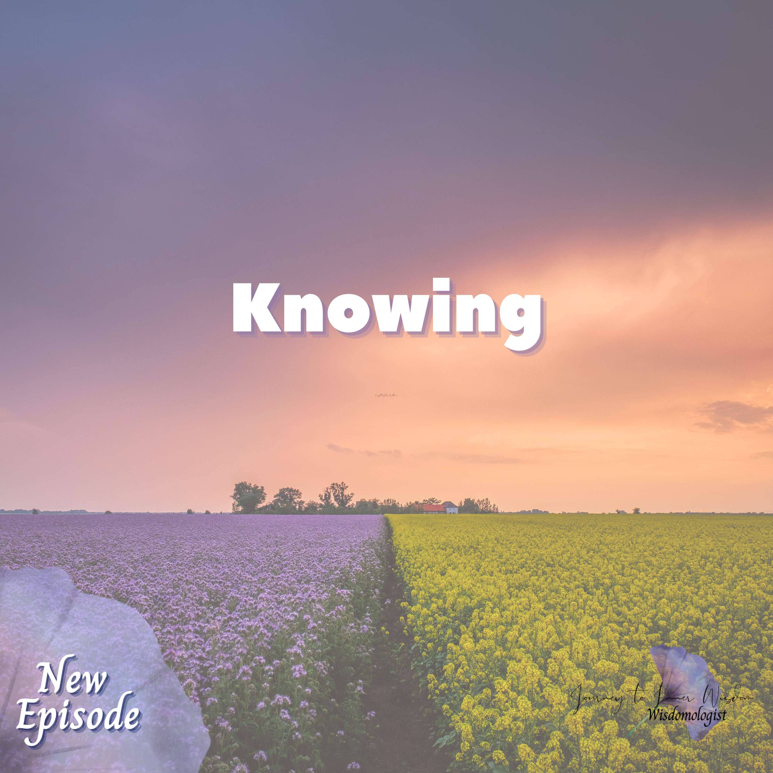 Journey to Inner Practical Wisdom