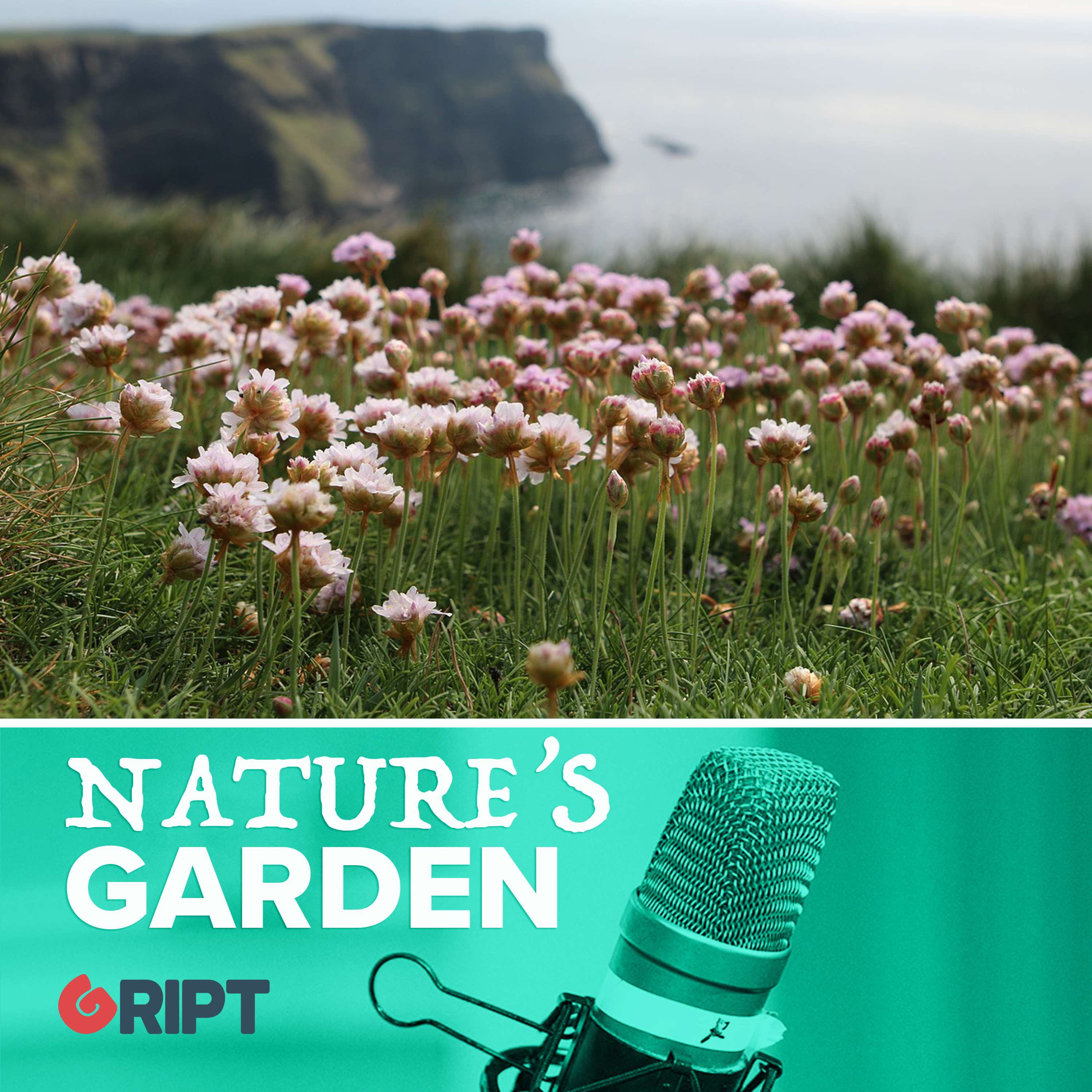 Nature's Garden podcast artwork