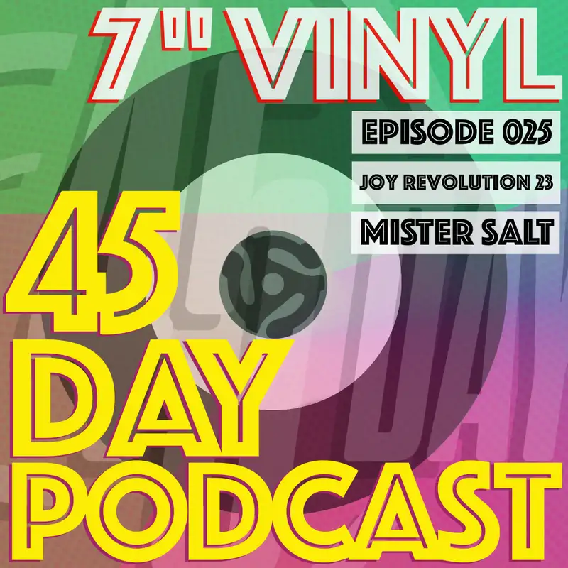 45 Day Podcast - Episode 025 - Joy Revolution 2023 - Mister Salt