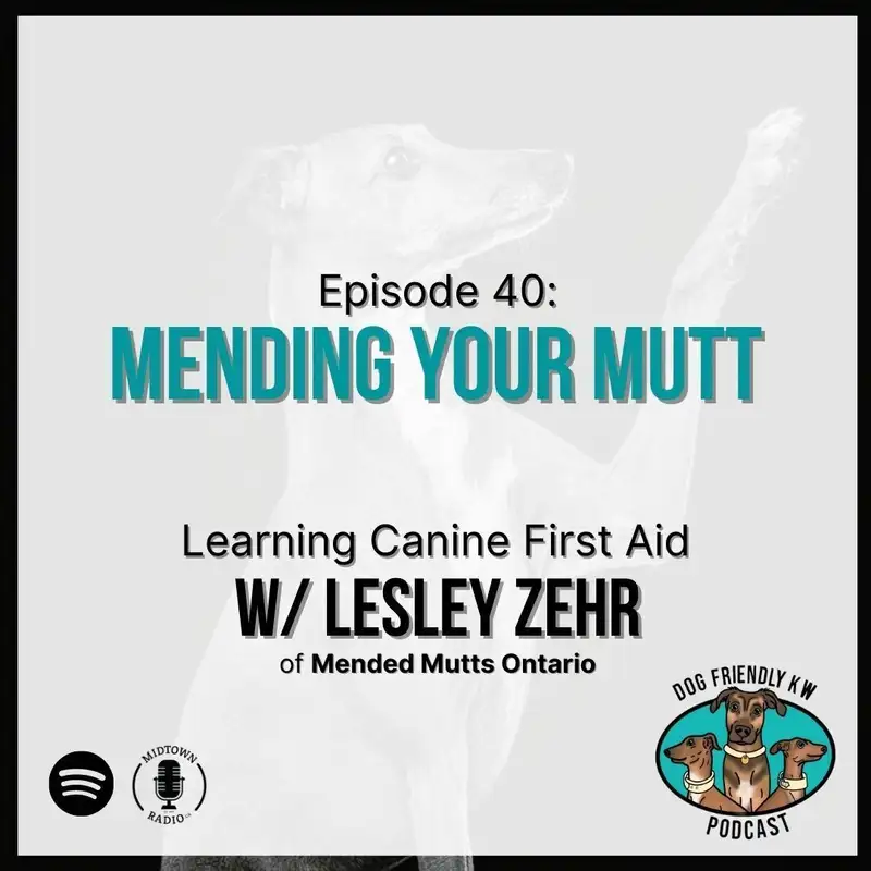 Mending Your Mutt: Learning CANINE FIRST AID w/ Lesley Zehr of @MendedMutts