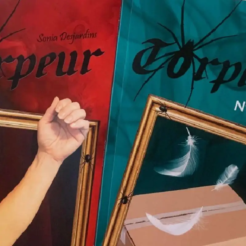 LITTÉRATURE - Sonia Desjardins vous fait découvrir sa série de livres pour ados "Torpeur"