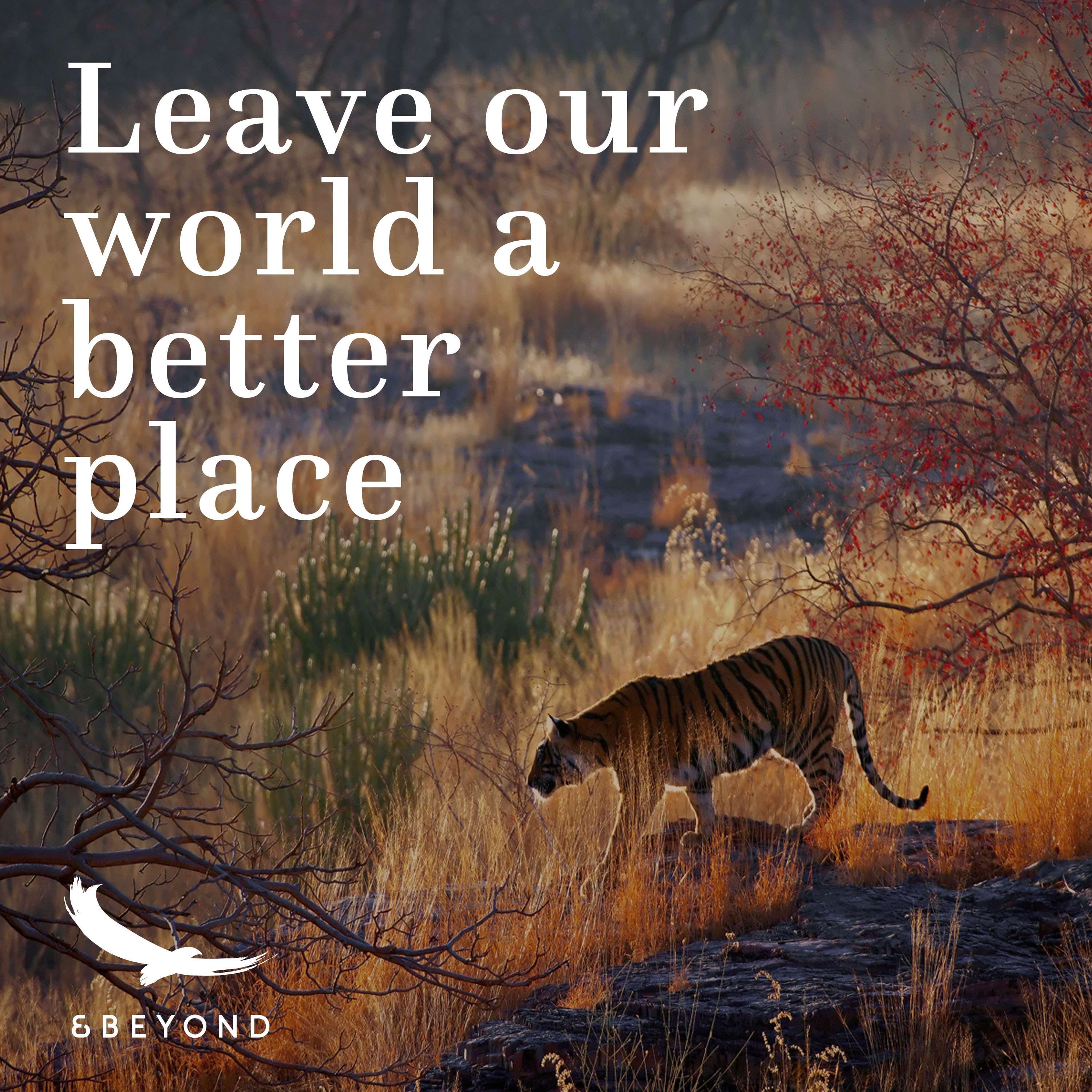 Better World