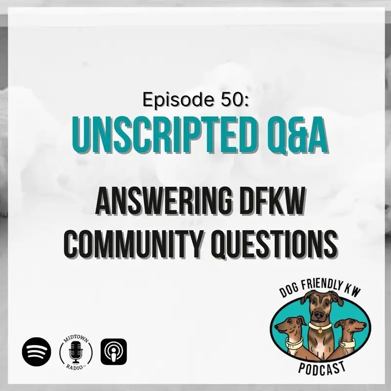 Season 4 Finale: UNSCRIPTED Community Q&A
