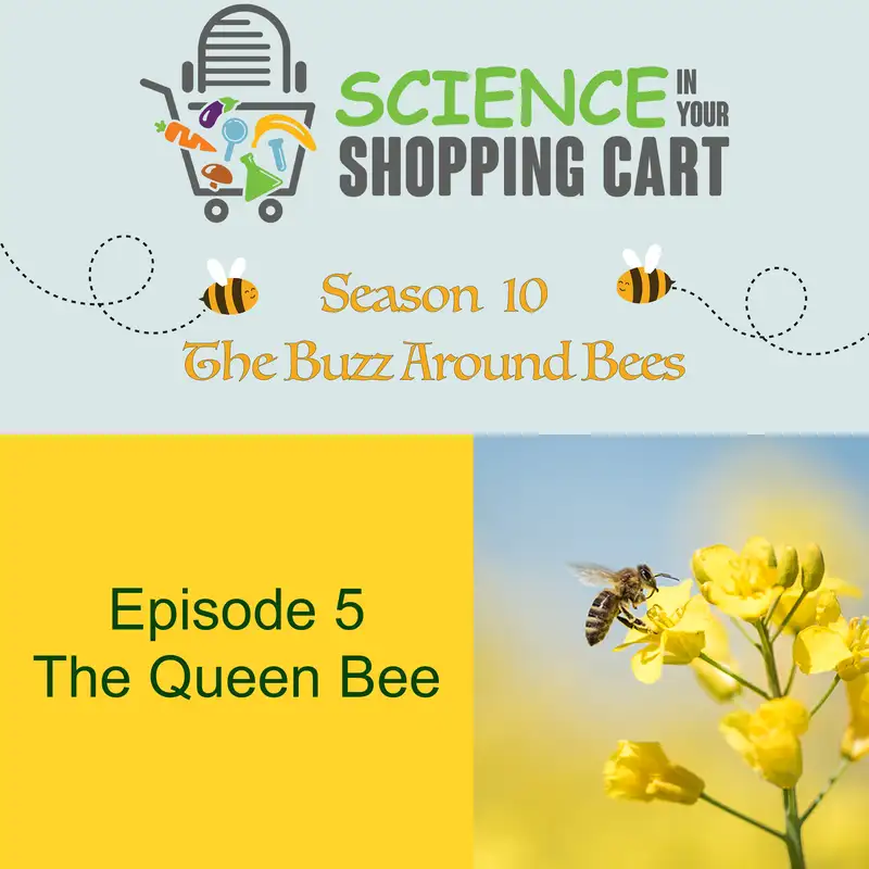 Season 10: The Buzz Around Bees | Episode 5: The Queen Bee