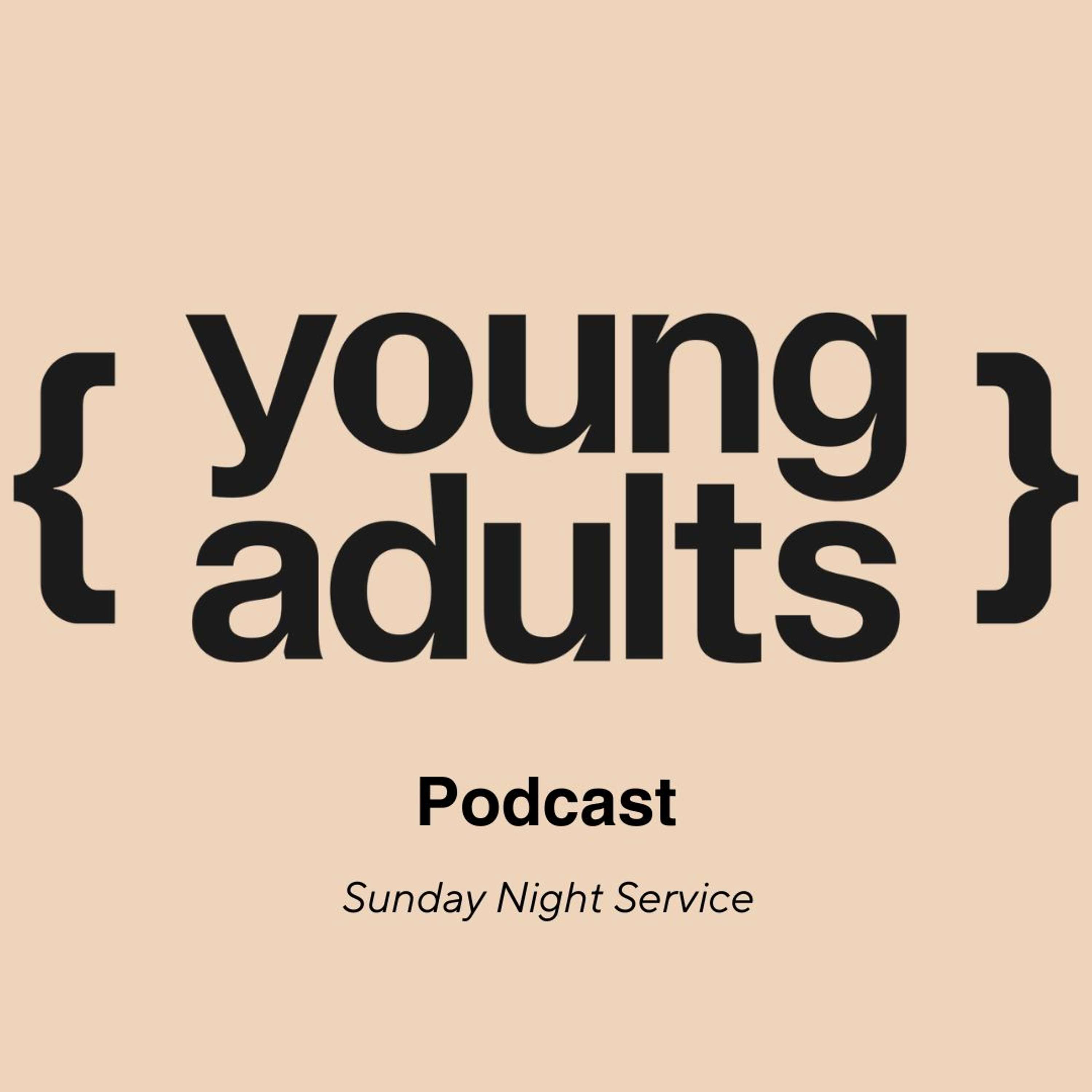 { YA } Young Adults
