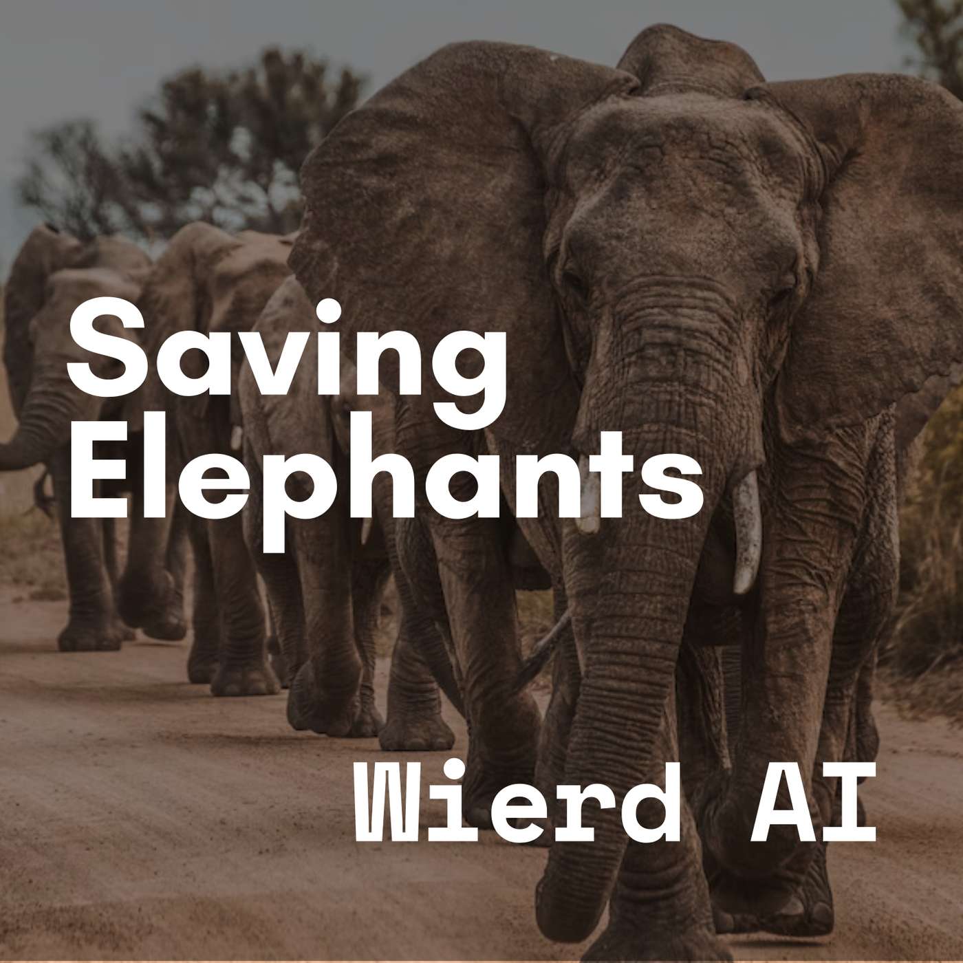 Saving Elephants with AI Saving Elephants with AI