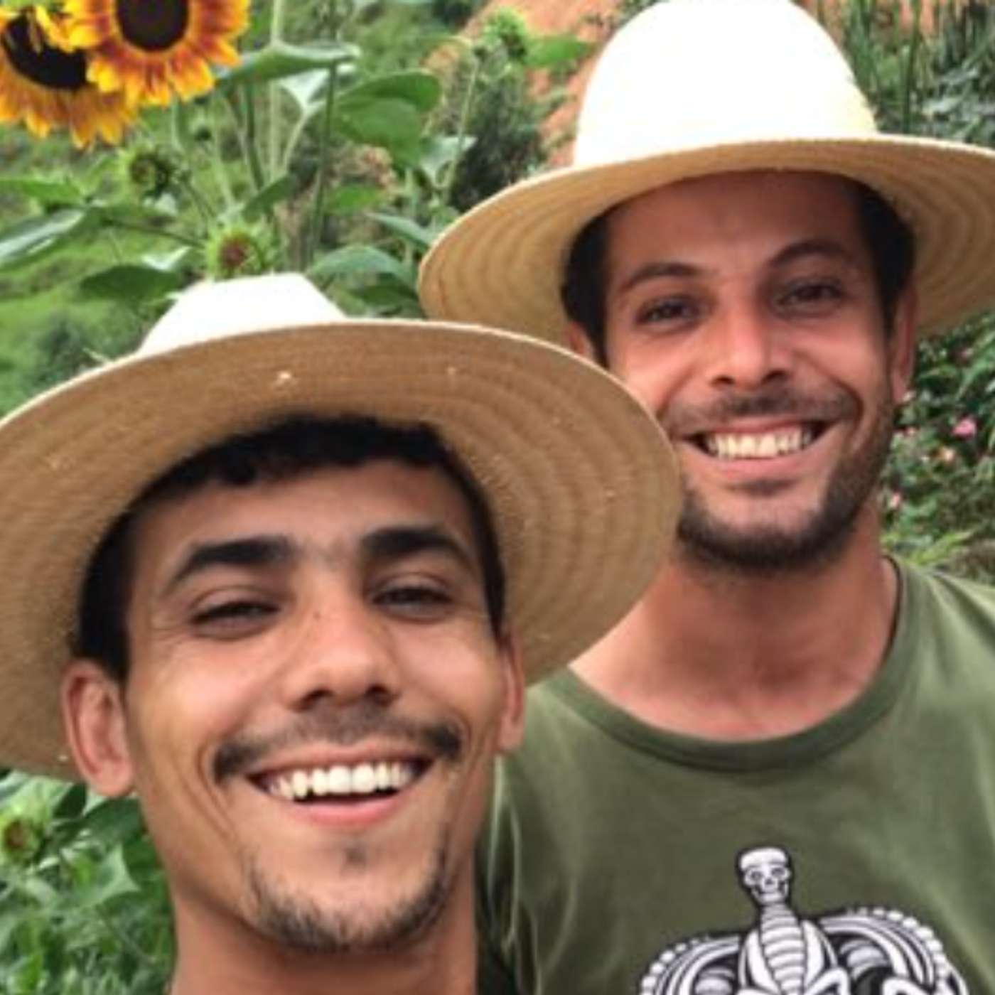 O TEMPO Podcasts