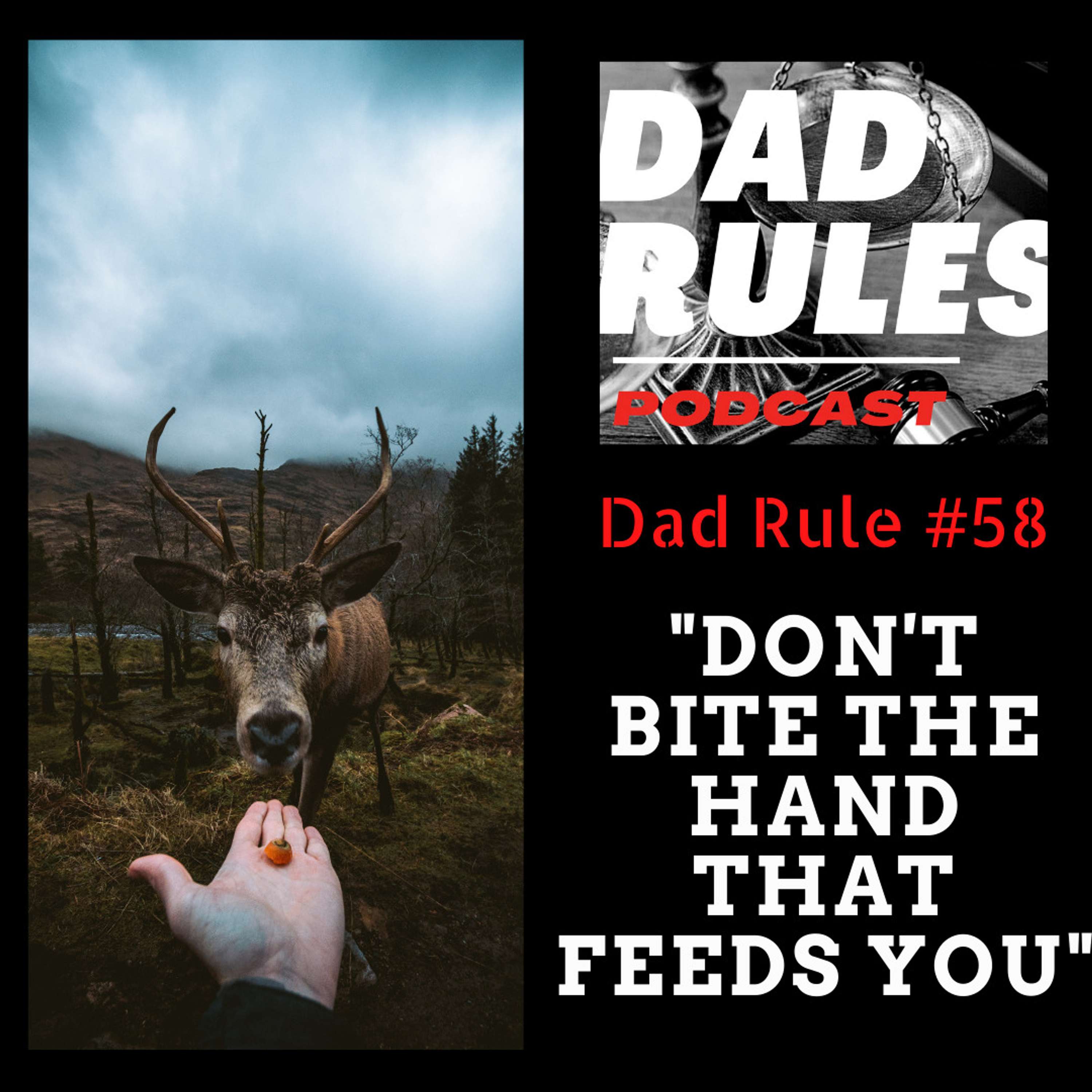 The Dad Rules Podcast