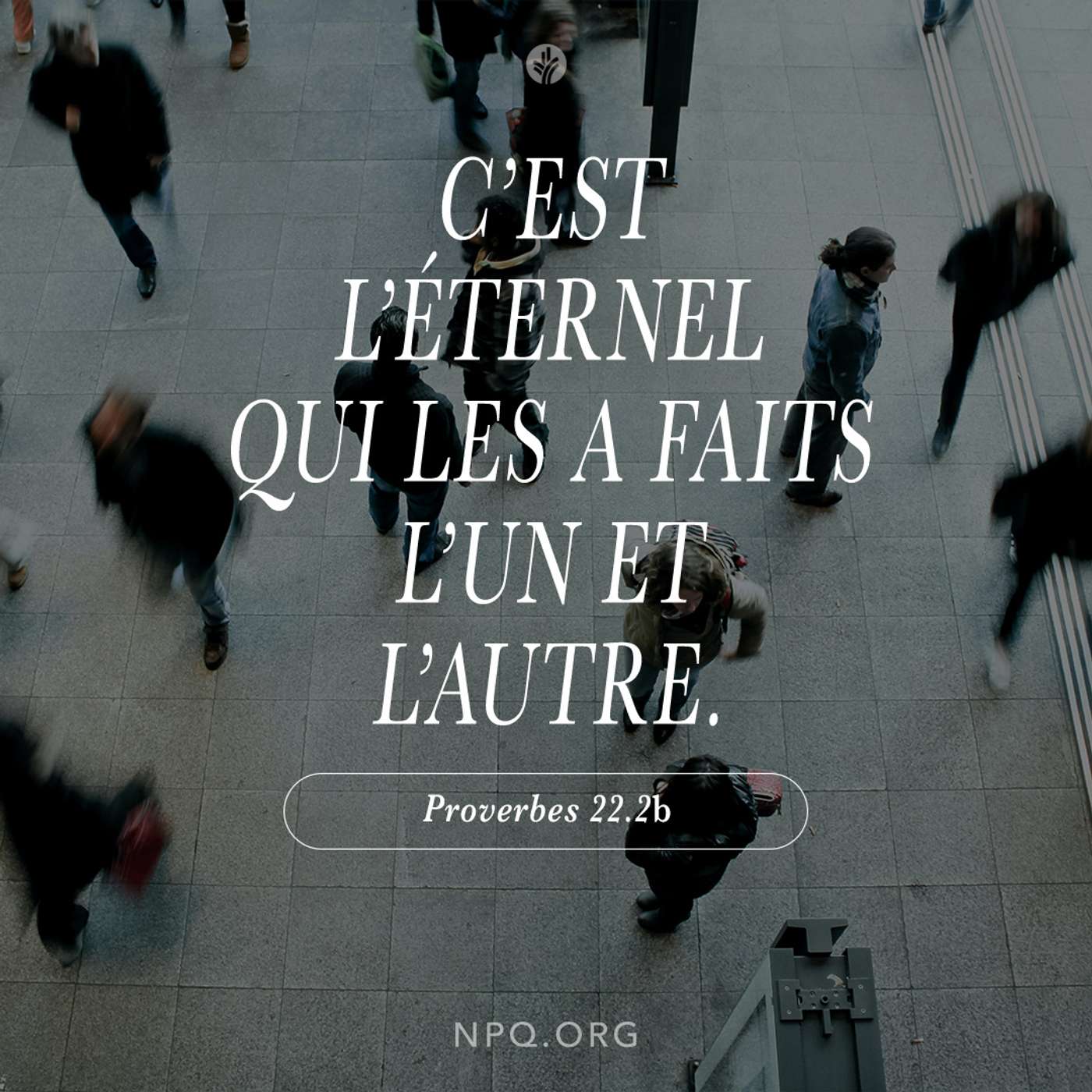 Notre Pain Quotidien podcast