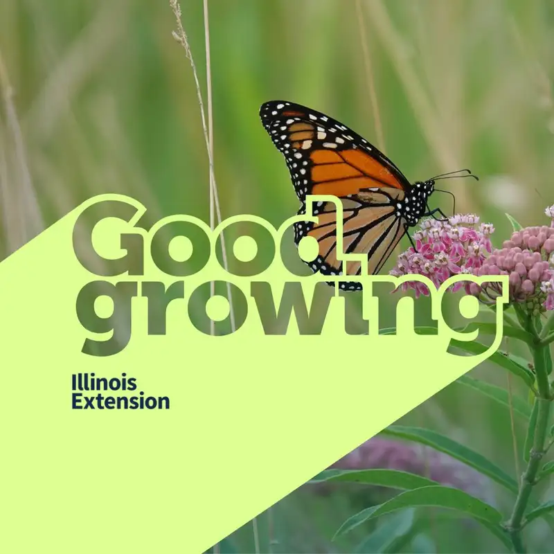 Gardenbite: Three favorite native plants for Illinois | #GoodGrowing