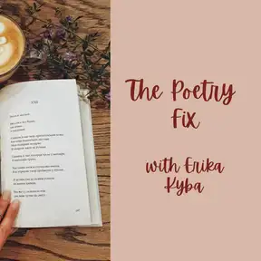 The Poetry Fix