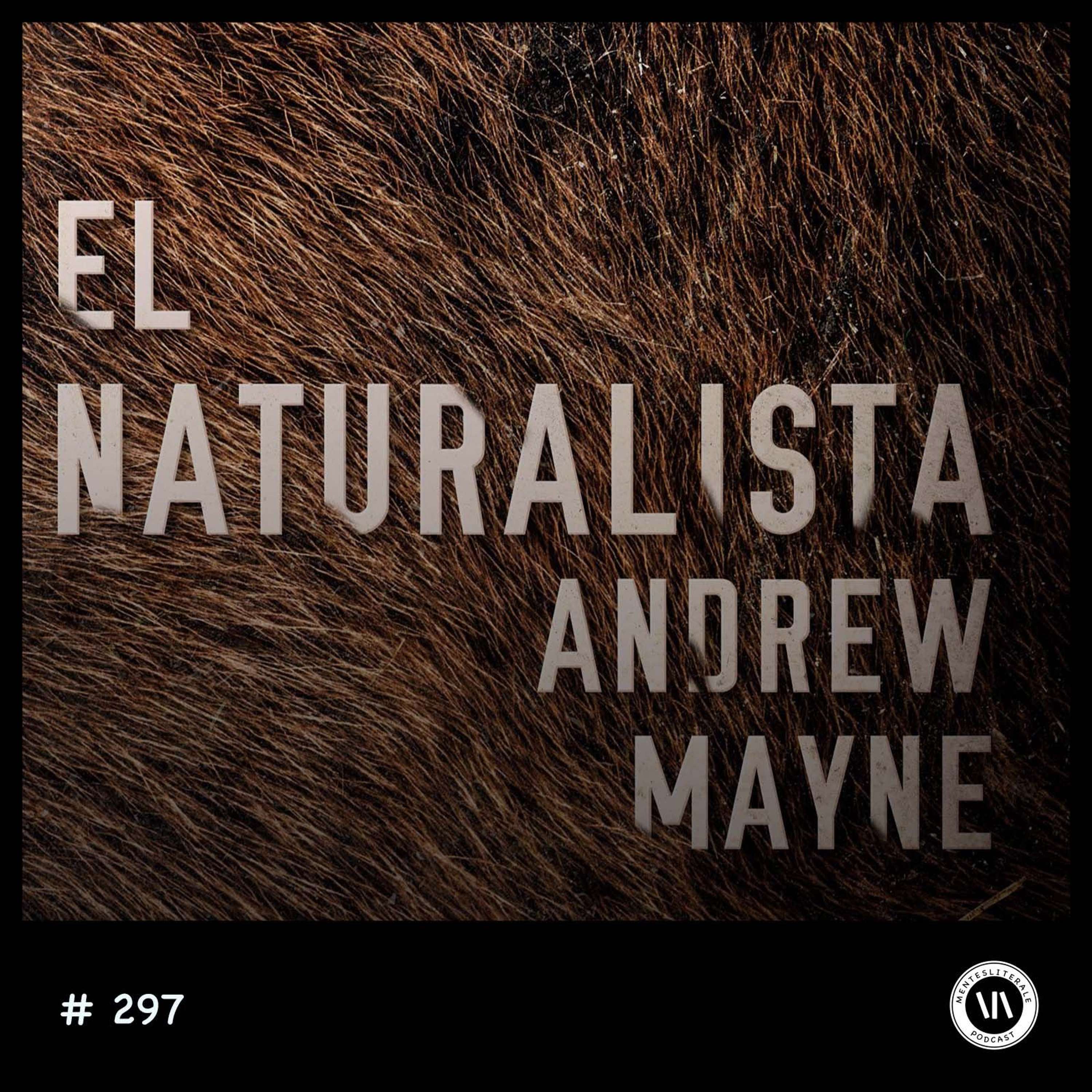 MentesLiterales - Recomendaciones y Reseñas de Libros