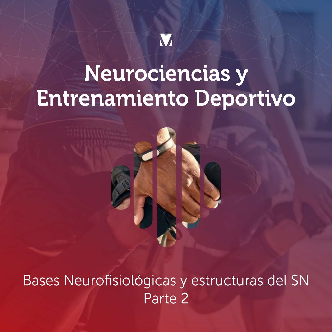 2 - NEUROCIENCIAS Y ENTRENAMIENTO DEPORTIVO: Bases Neurofisiológicas y estructuras del SN - Parte 2