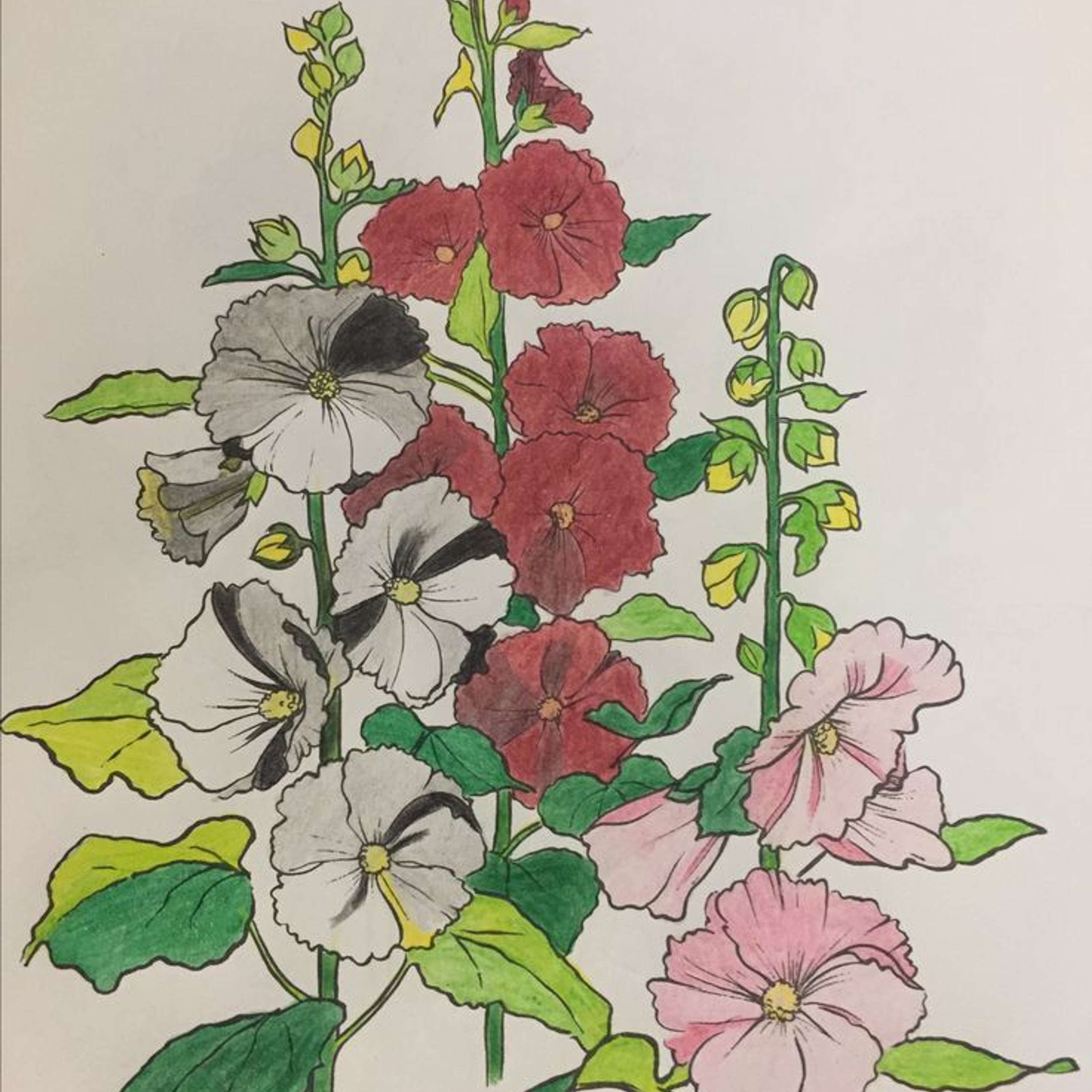 Garden Forum