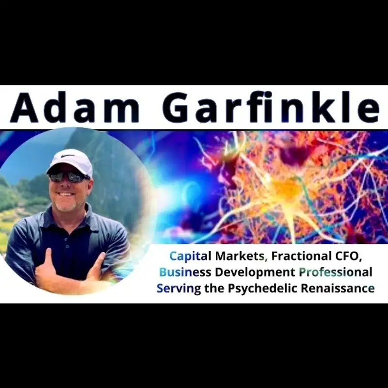 Adam Garfinkle - The Psychedelic Renaissance