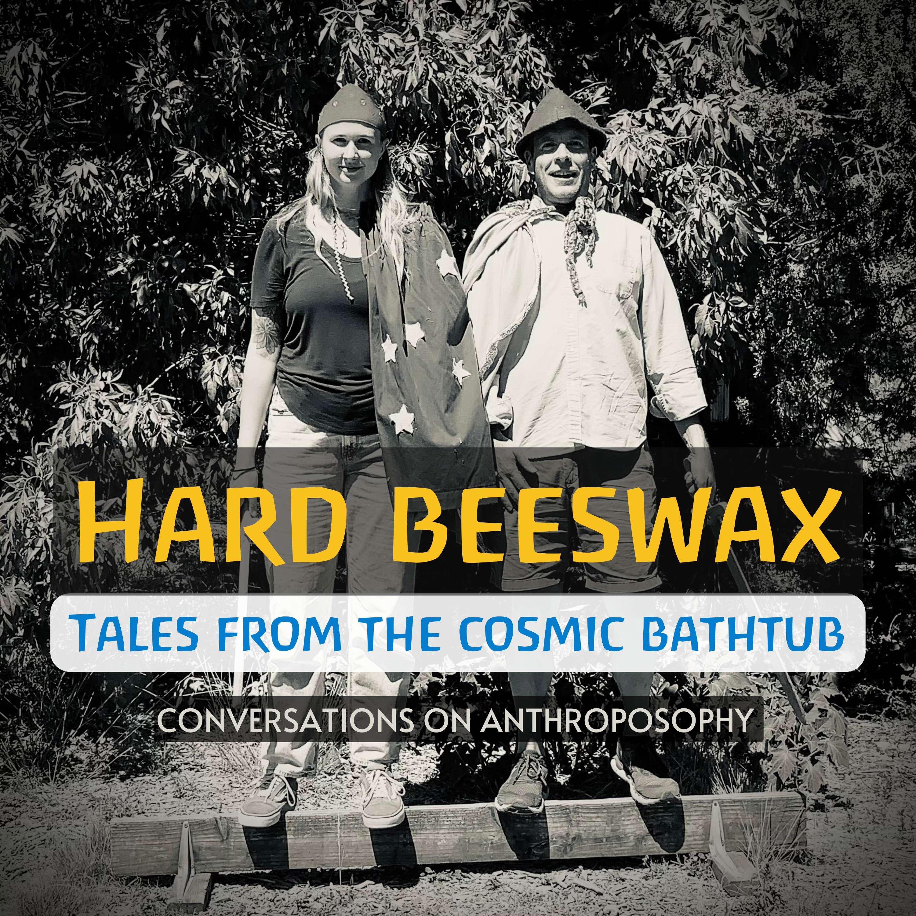 Hard Beeswax: Experiences in Waldorf Education