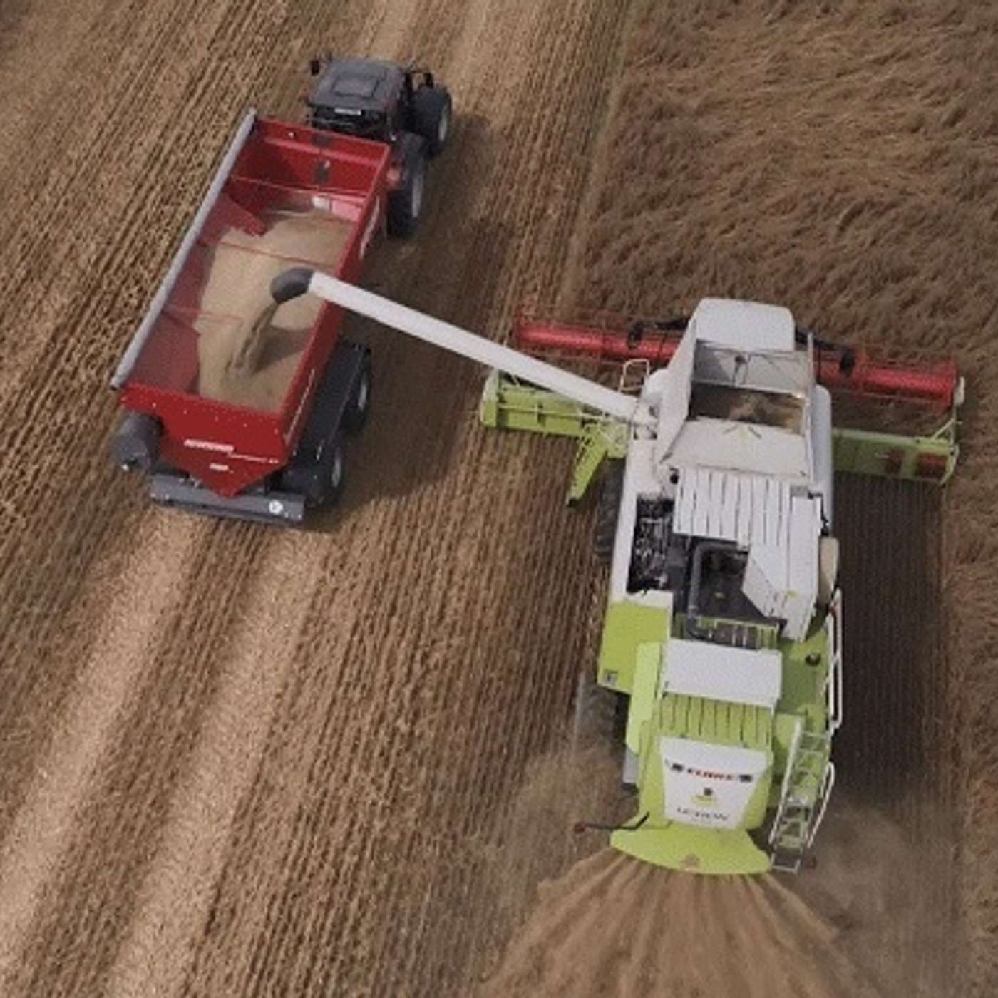 The Tillage Edge