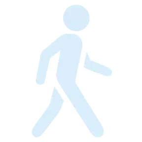 Let's Go For A Walk