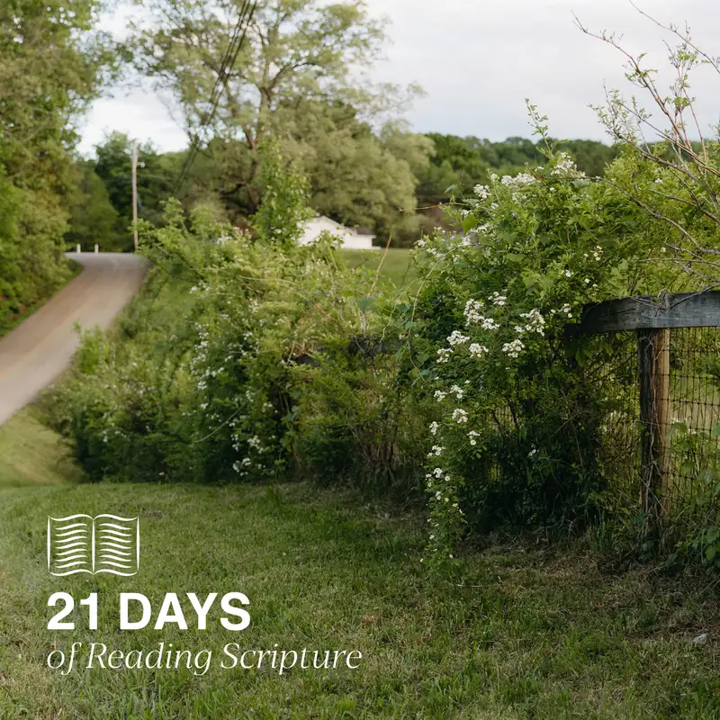 21 Days of Reading Scripture: Day Twenty | Ephesians 6:10-18a