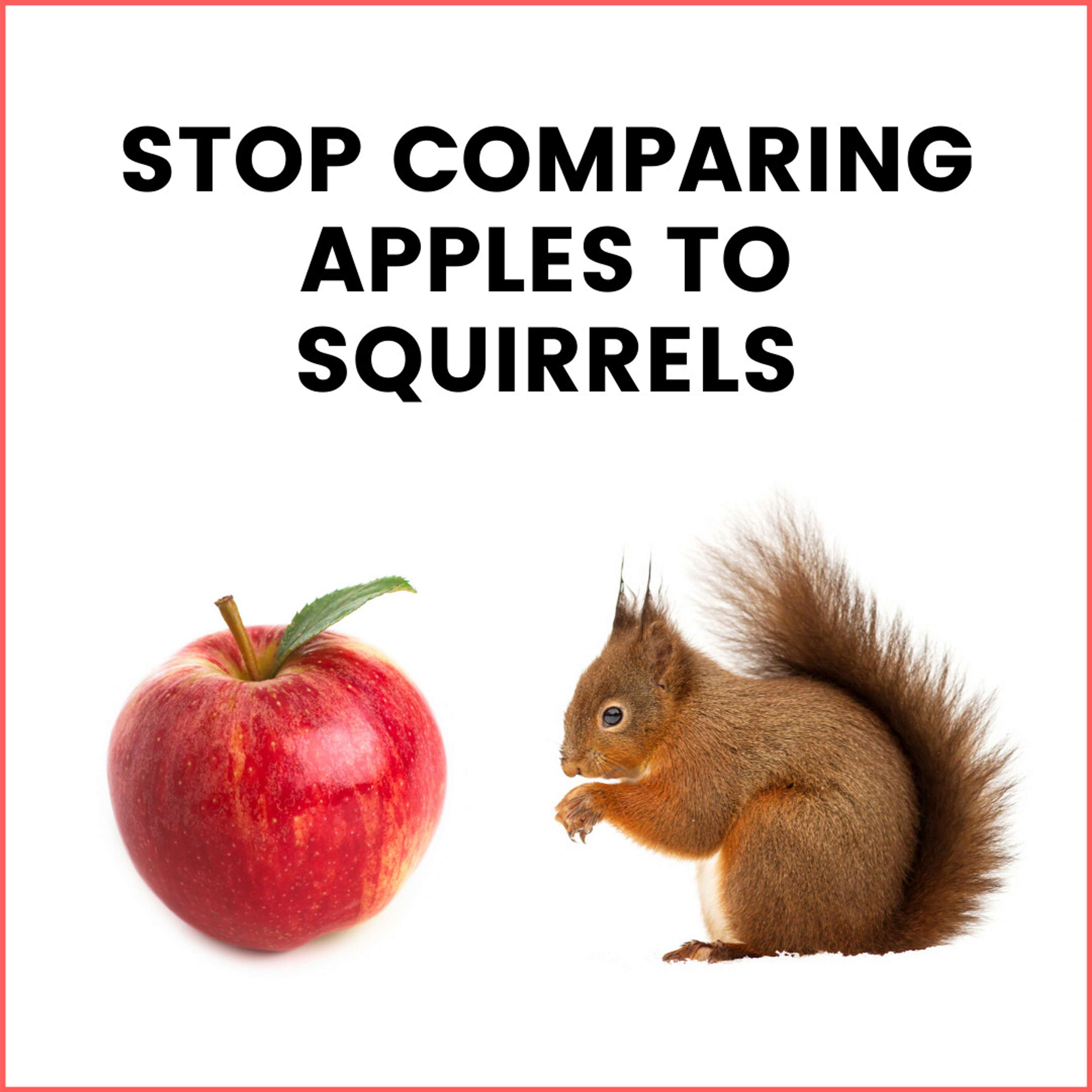 31. Stop Comparing Apples to Squirrels