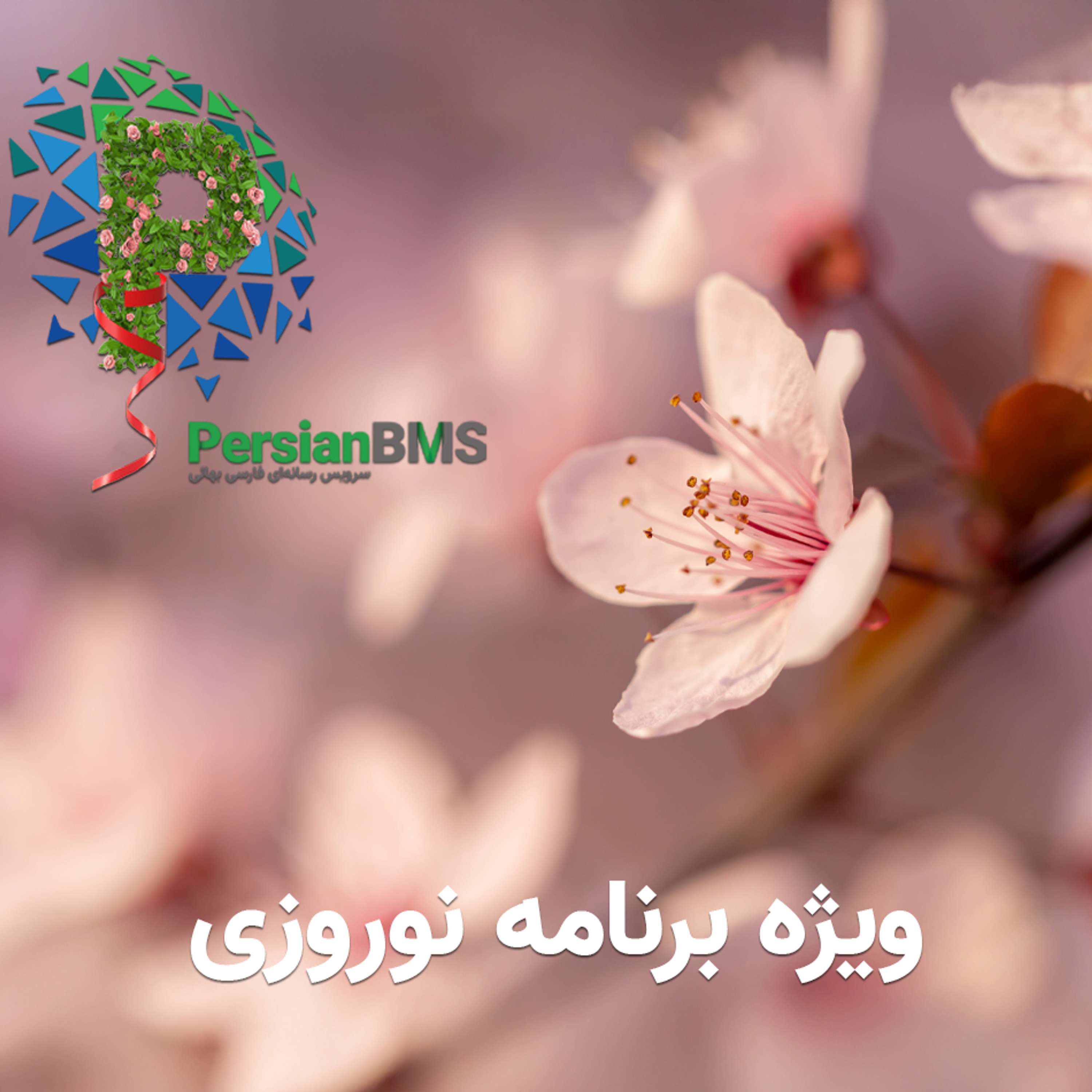 توضیحات ویژه برنامه نوروزی (بخش ۱)