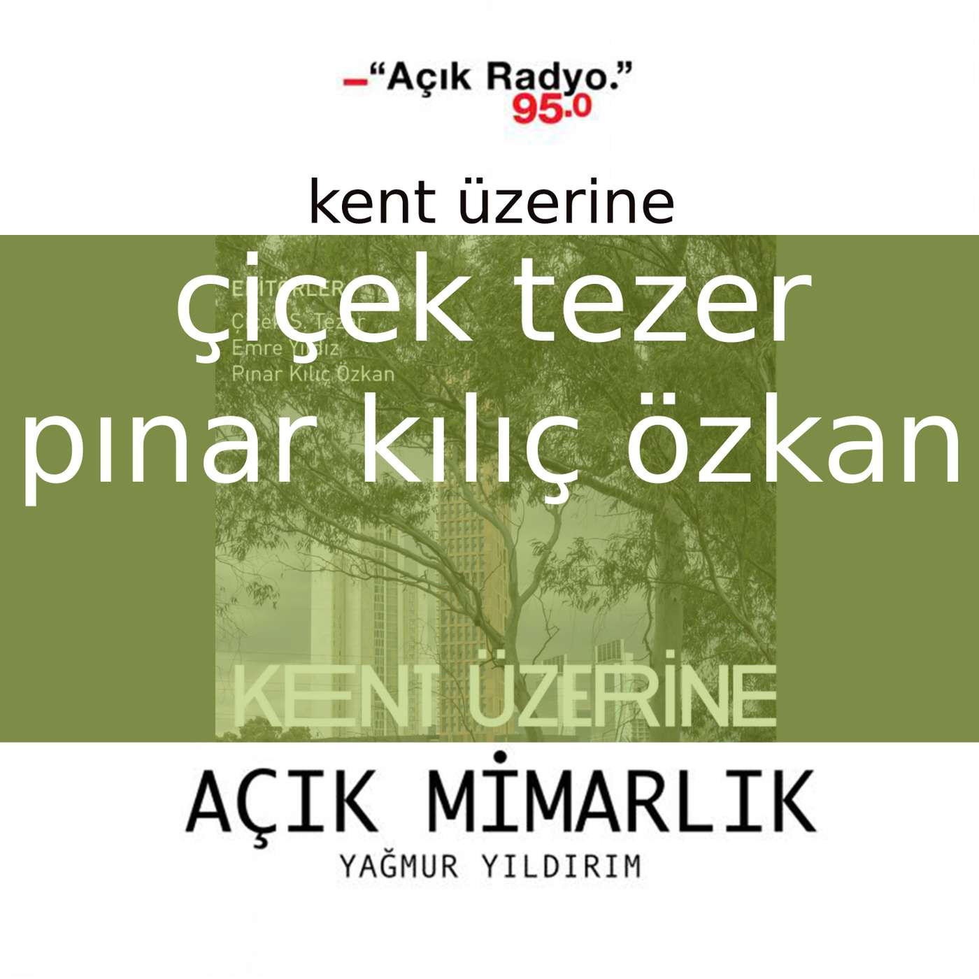 Açık Mimarlık